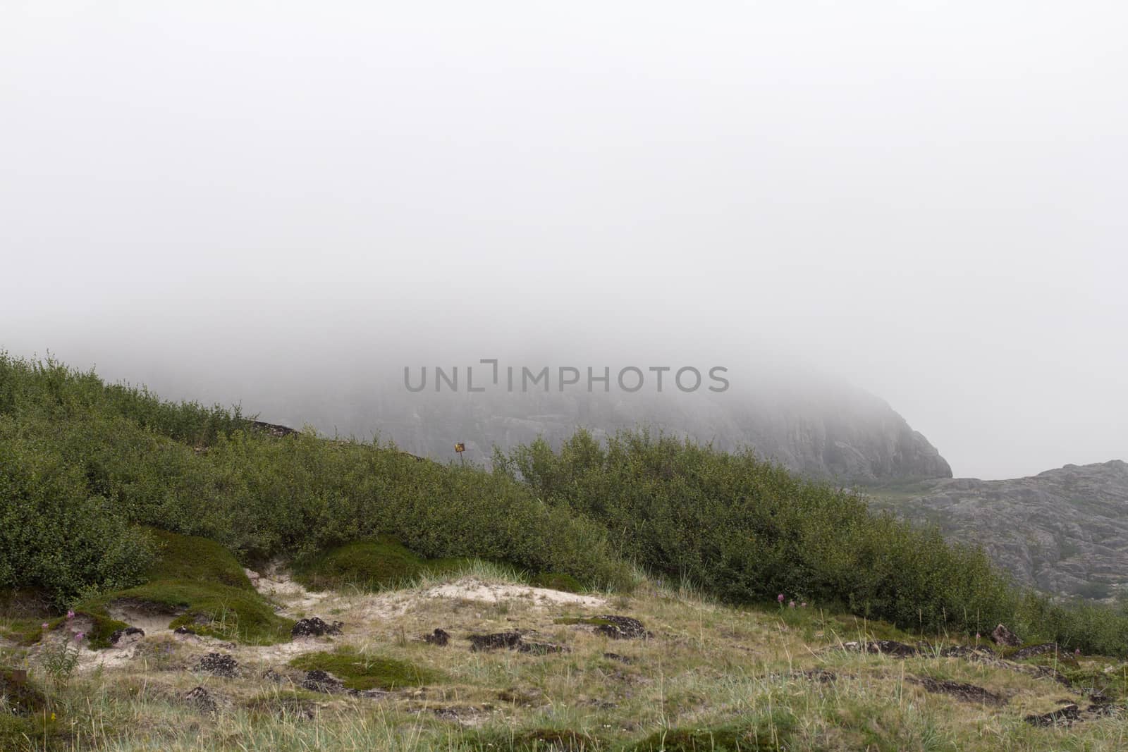 air stream of fog through mountains. polar circle by max51288