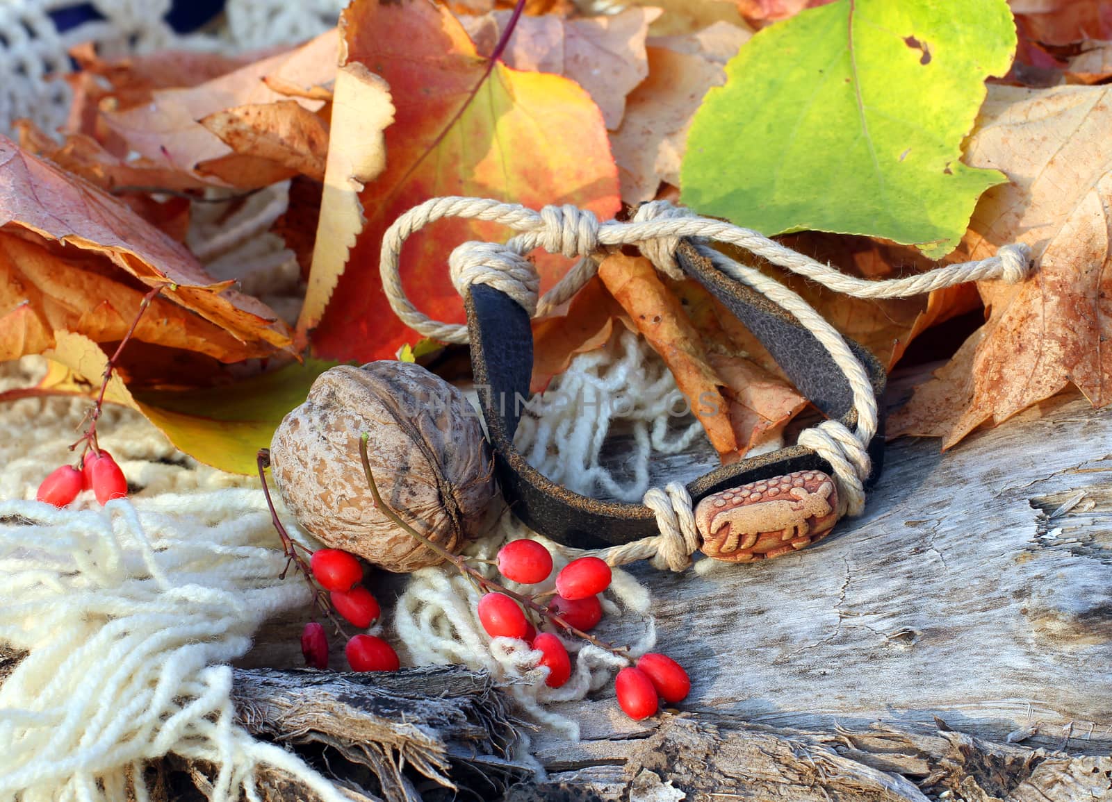 Ethnic handmade leather bracelet on autumn-style background