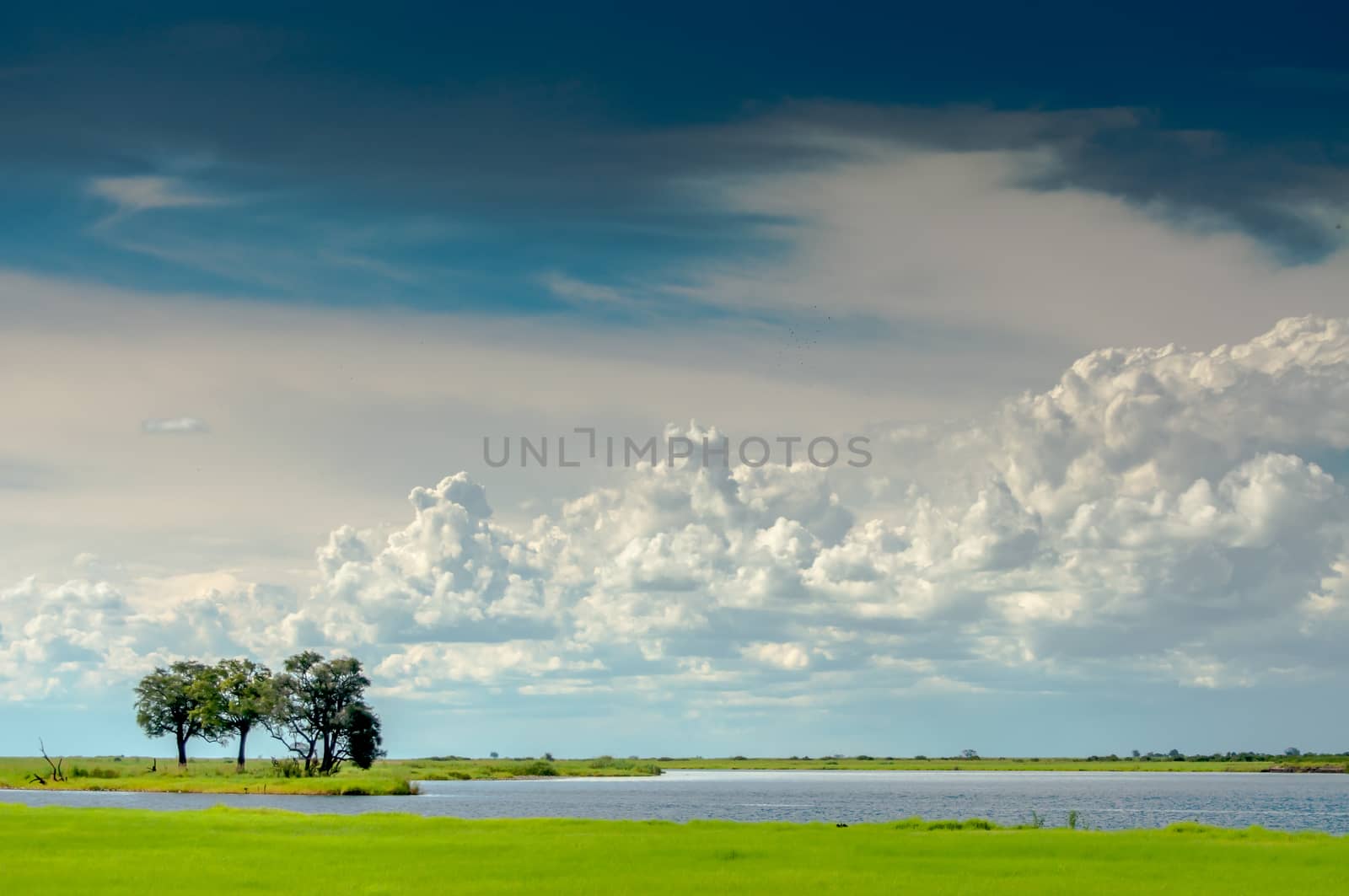 Lanscape at Chobe River looking towards the Namibia Pan Handle side of the river with white clouds, blue sky, and green landscape, and the river being visible.