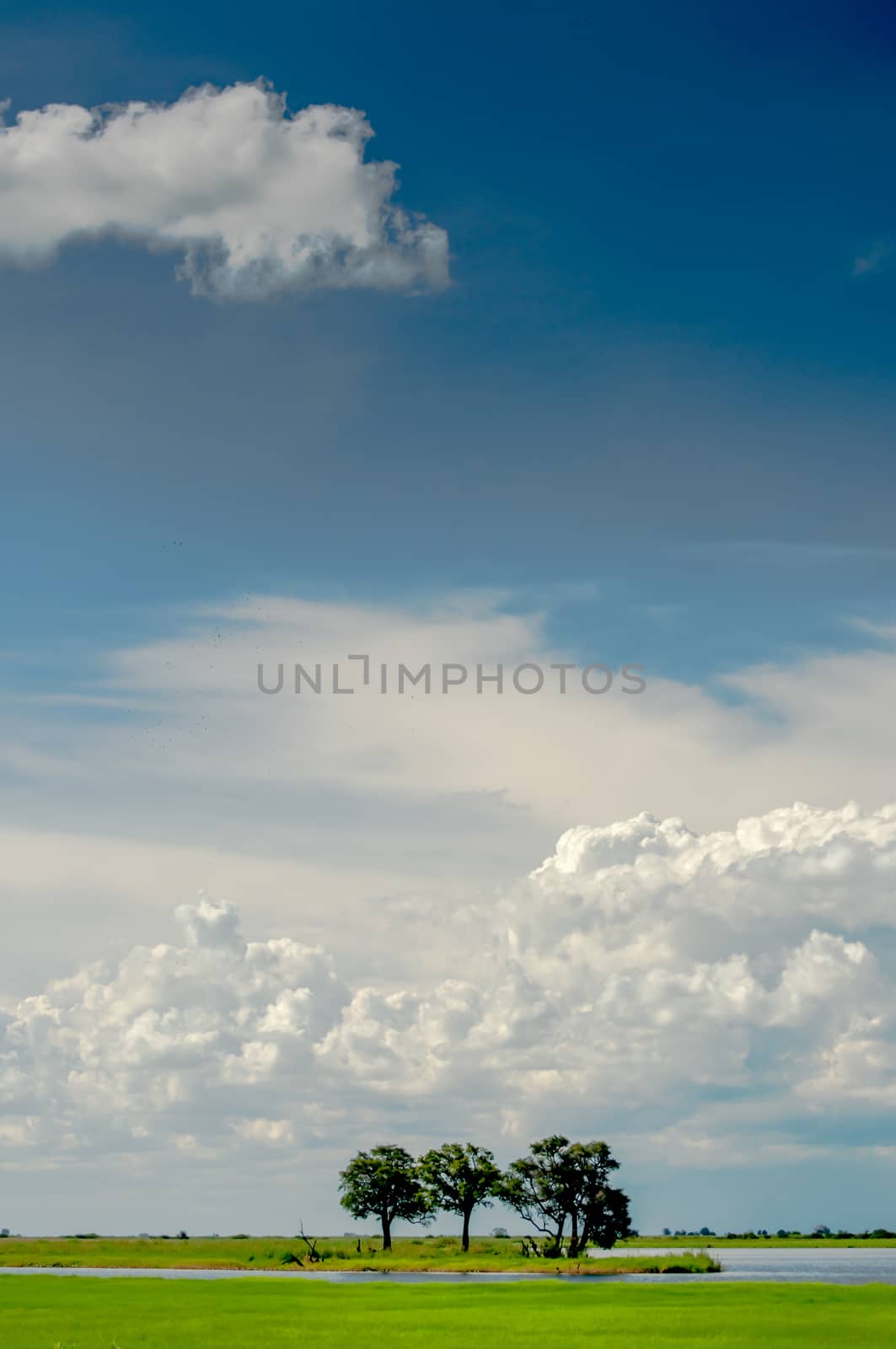 Lanscape at Chobe River looking towards the Namibia Pan Handle side of the river with white clouds, blue sky, and green landscape, and the river being visible.