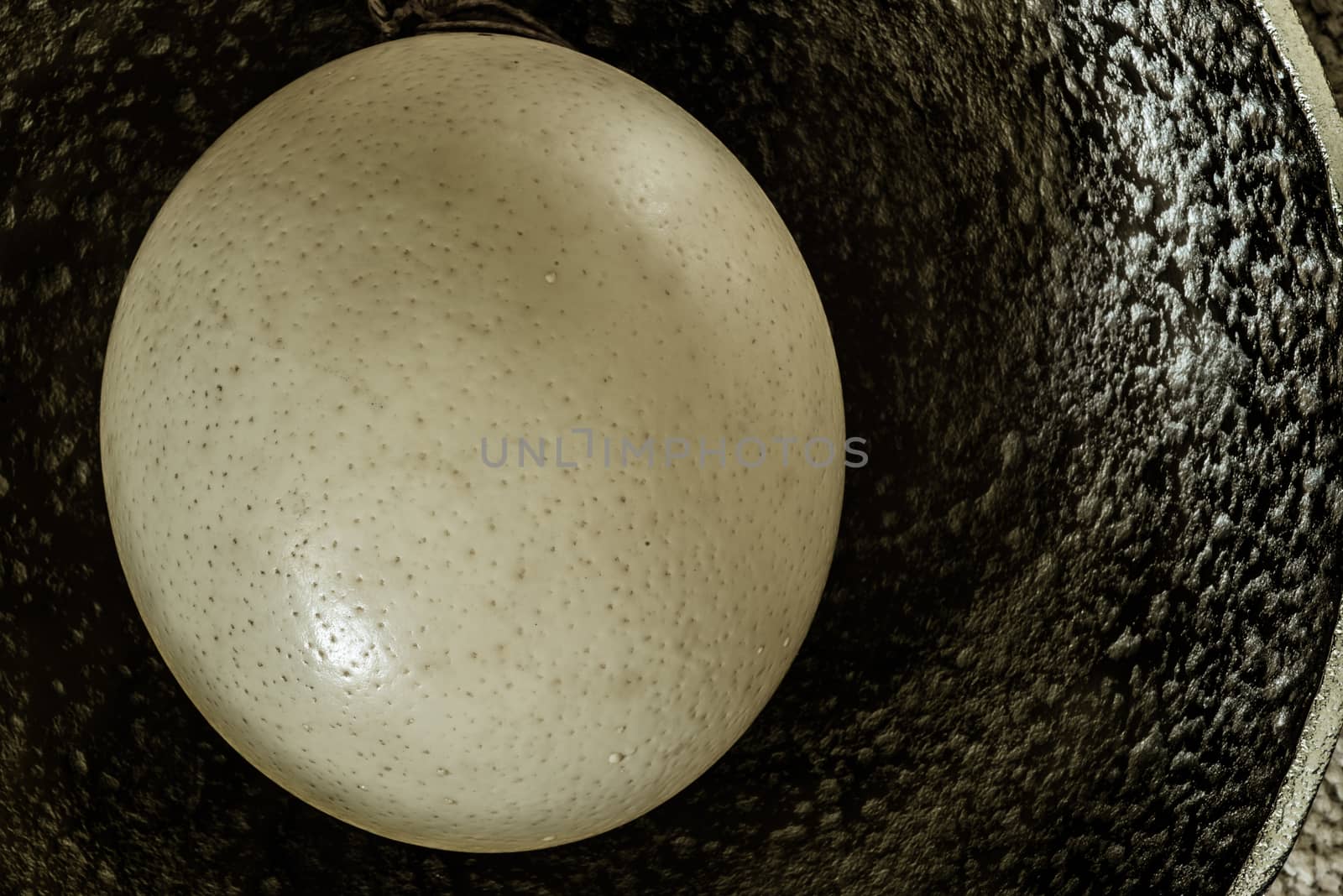 A single ostrich egg placed in a bowl.