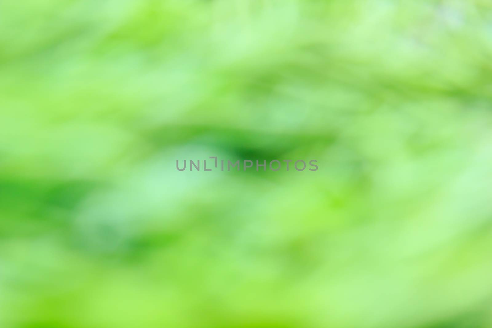 Natural green bright blur background. by Tachjang