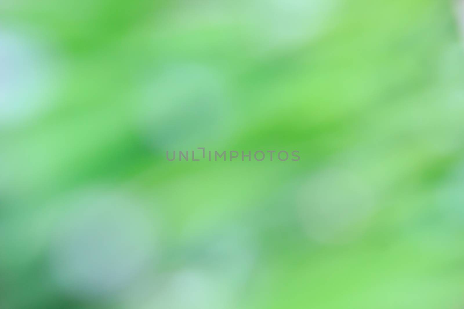 Natural green bright blur background. by Tachjang
