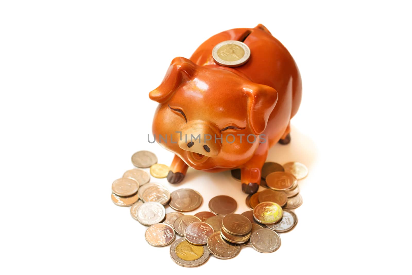 Piggy bank isolated on white background.