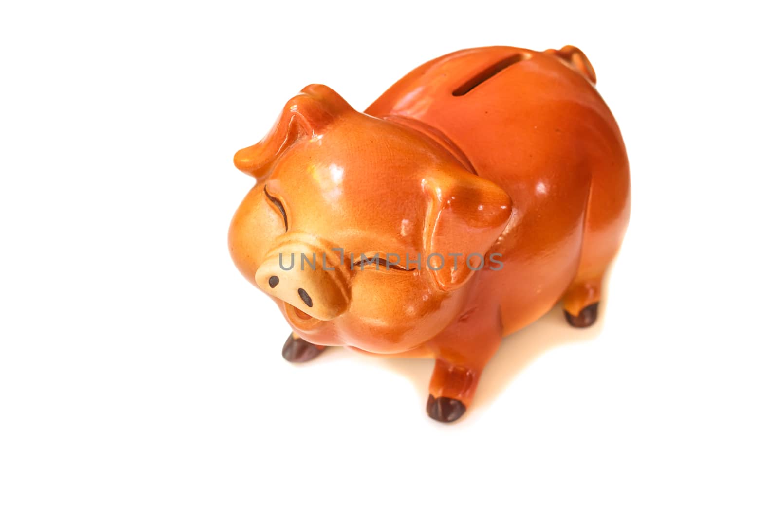 Piggy bank isolated on white background.