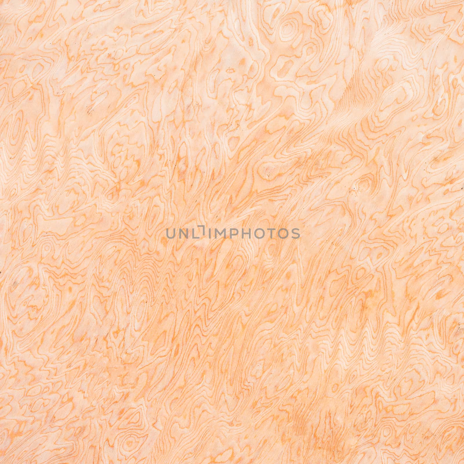 High resolution natural woodgrain texture by nopparats