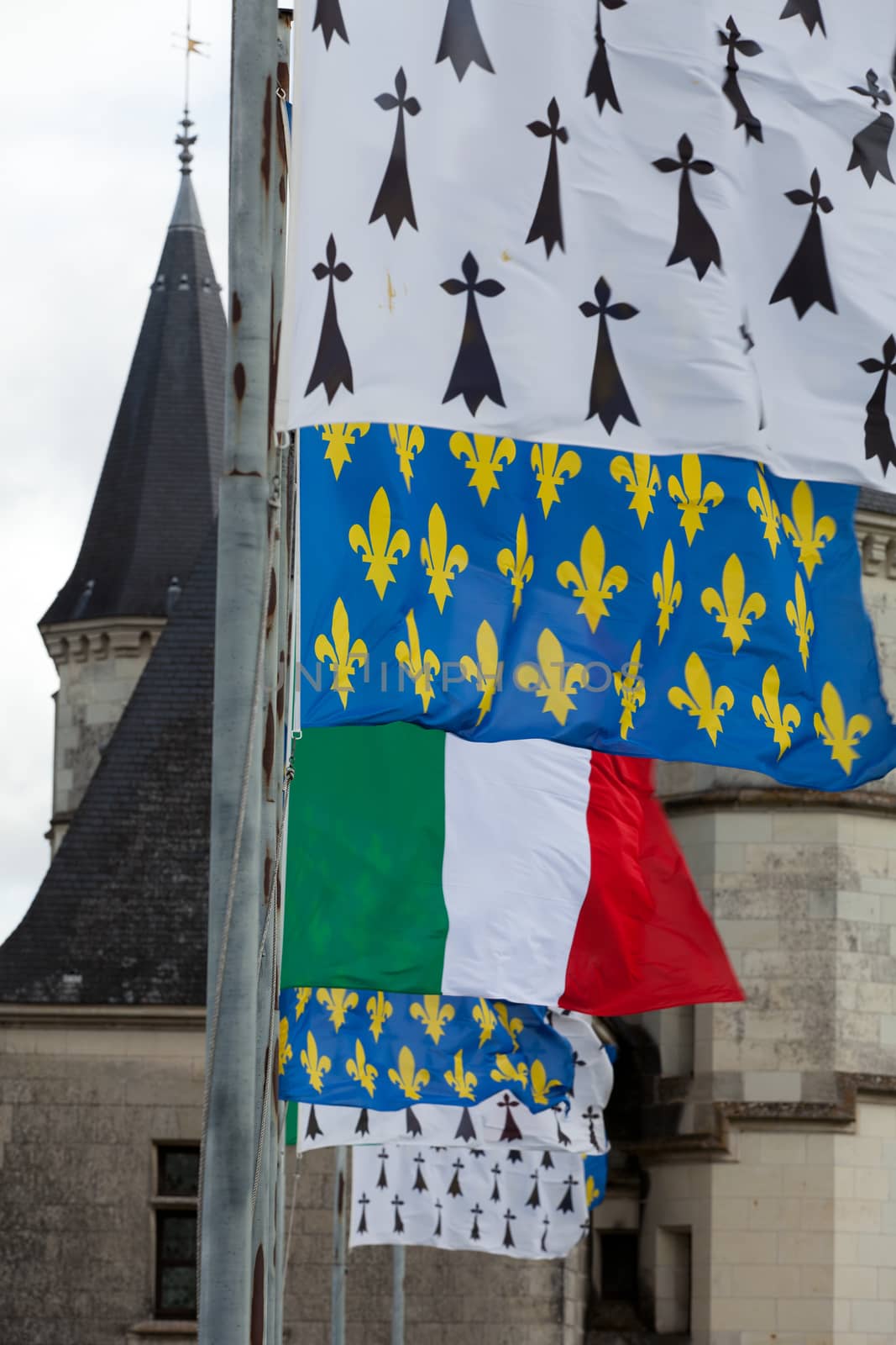  Amboise castle .Valley of the river Loire. France