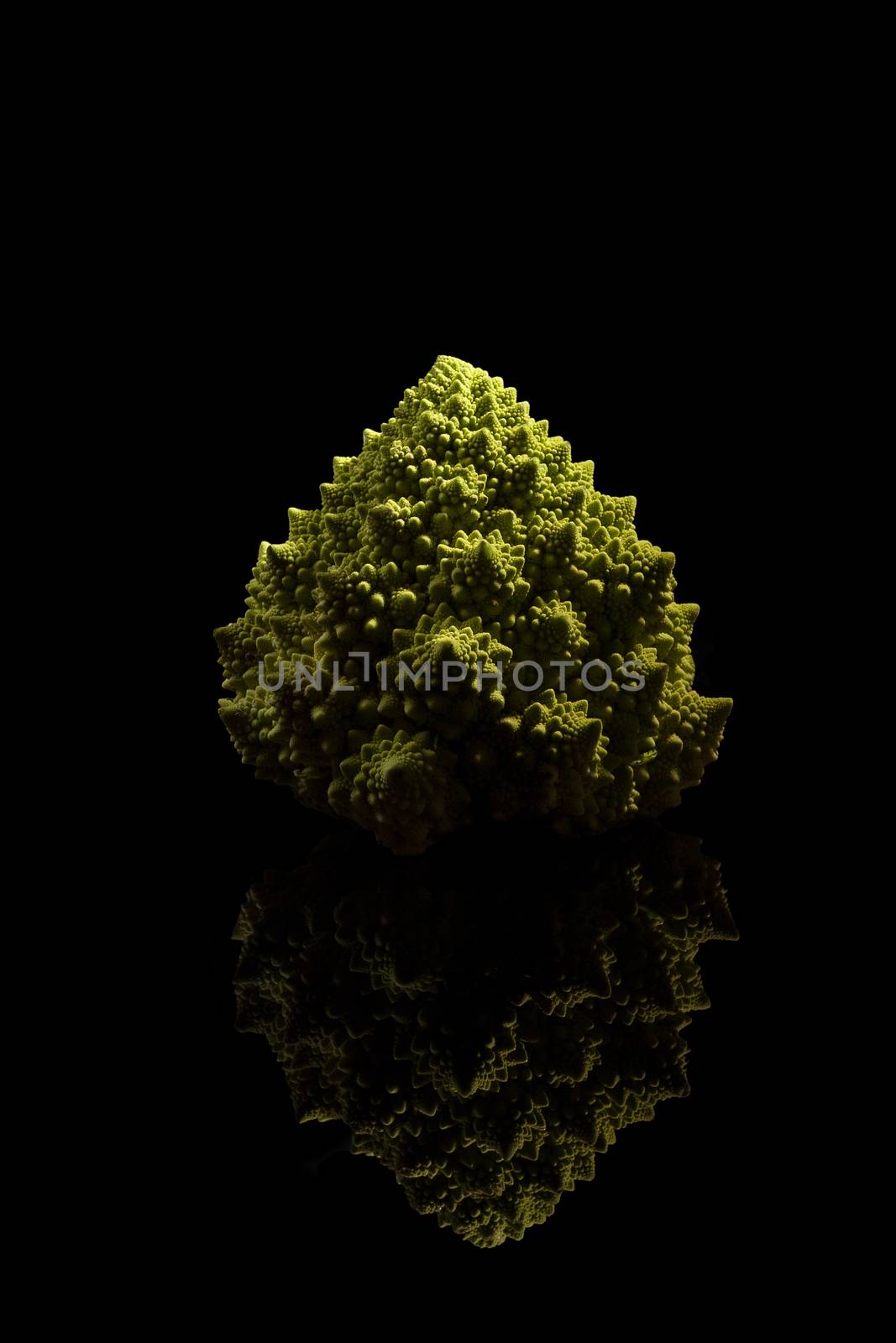 Romanesco broccoli isolated on black background. Healthy vegetable eating. 