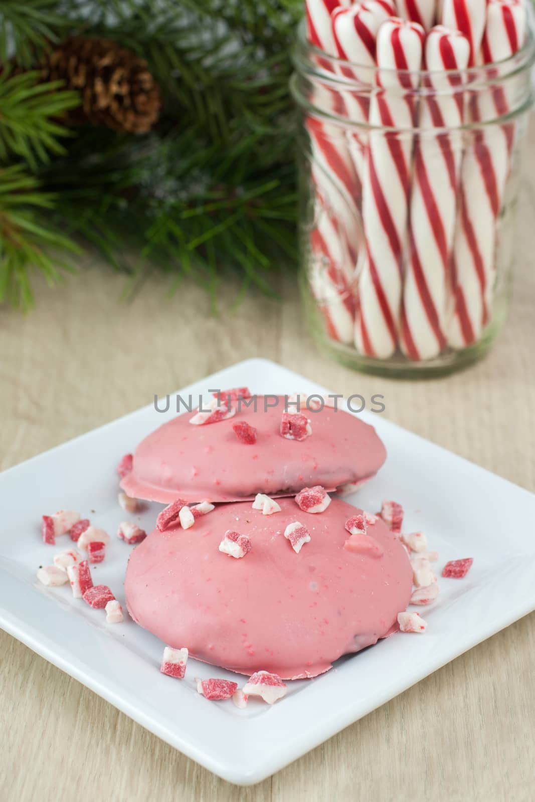 Chocolate peppermint cookies with pink chocolate coating on acountertop with pepermint candy and evergreen bows in the background.