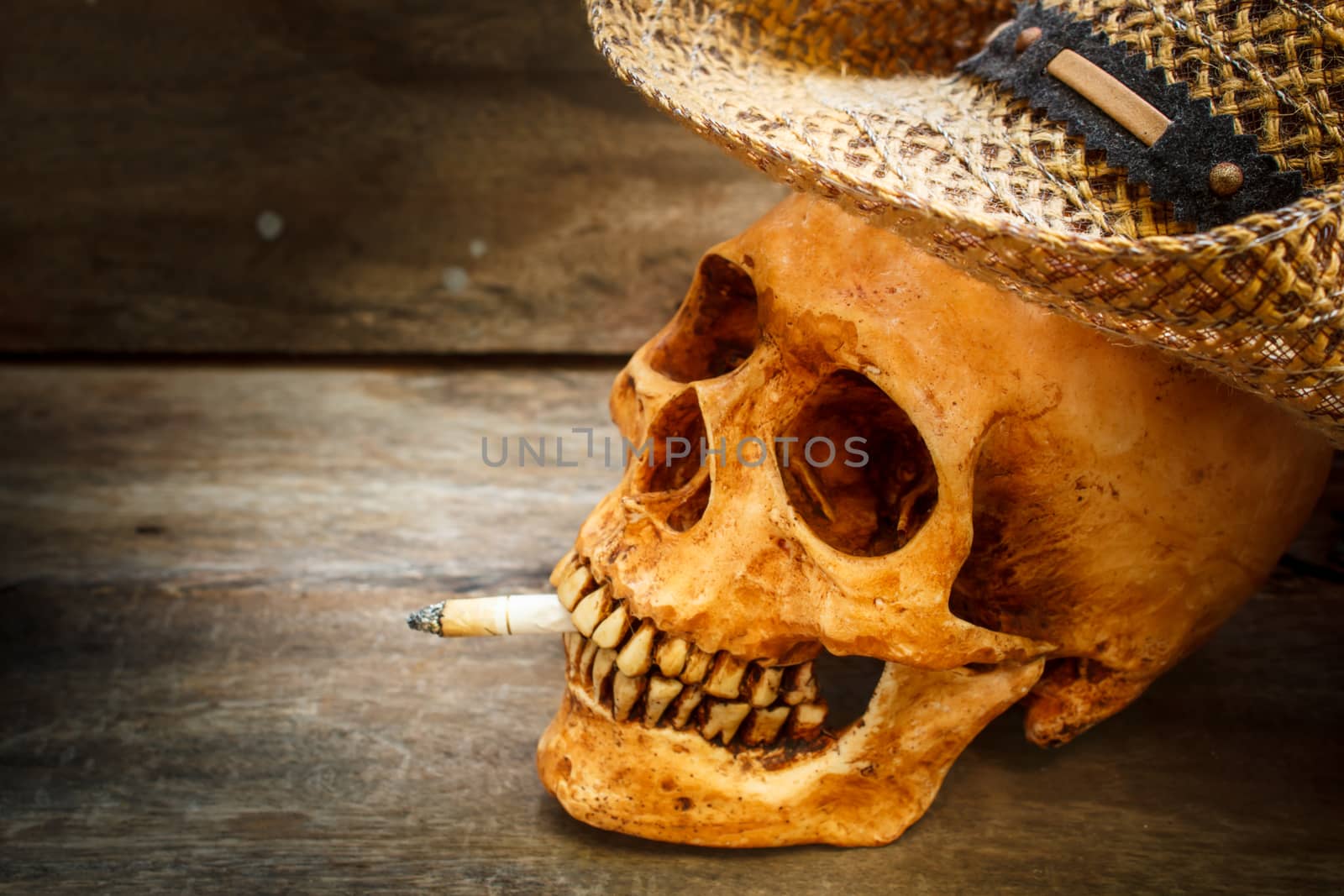 Skull with cigarette, still life. by Tachjang