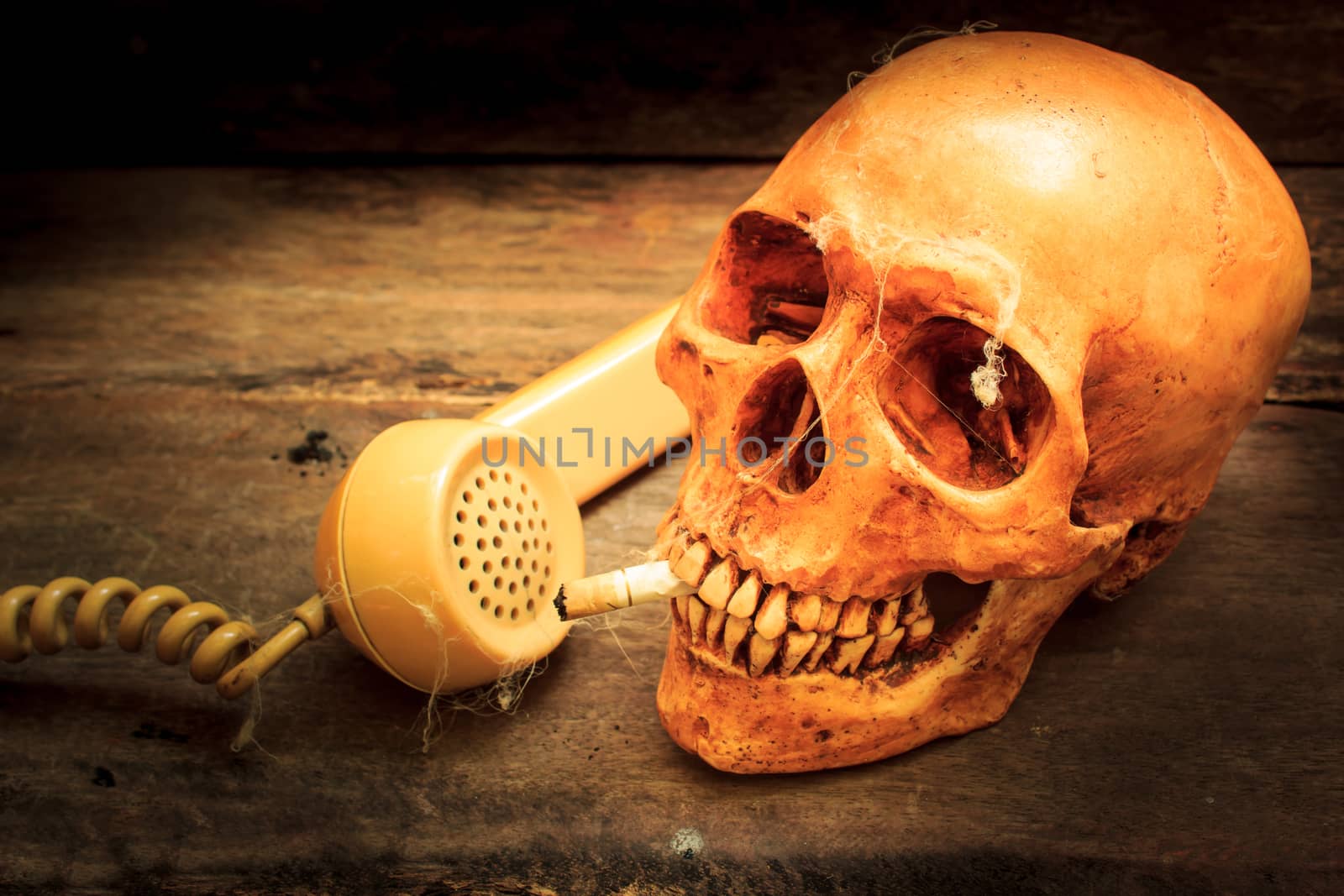 Skull with cigarette, and old wood background.
