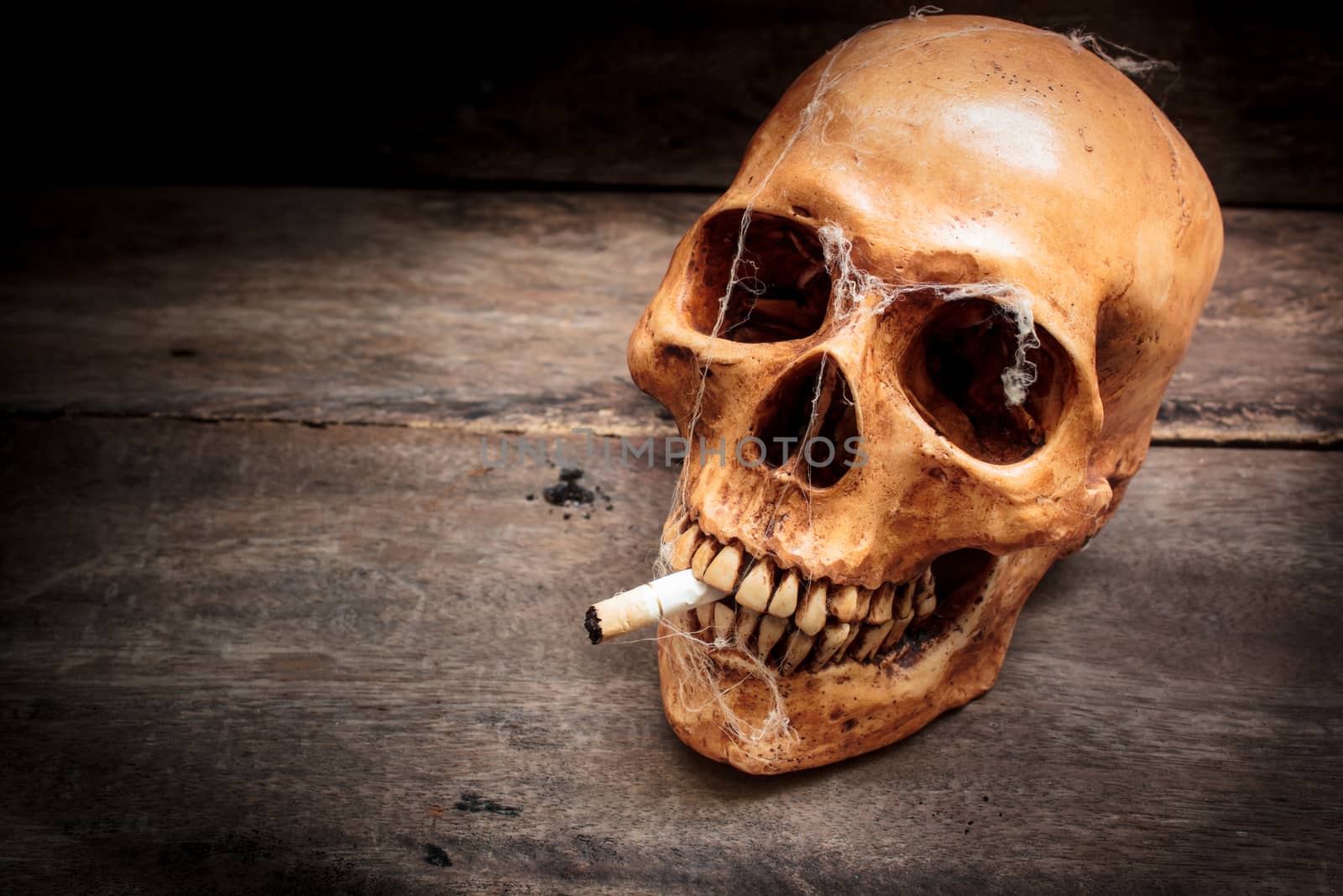 Skull with cigarette, and old wood background.