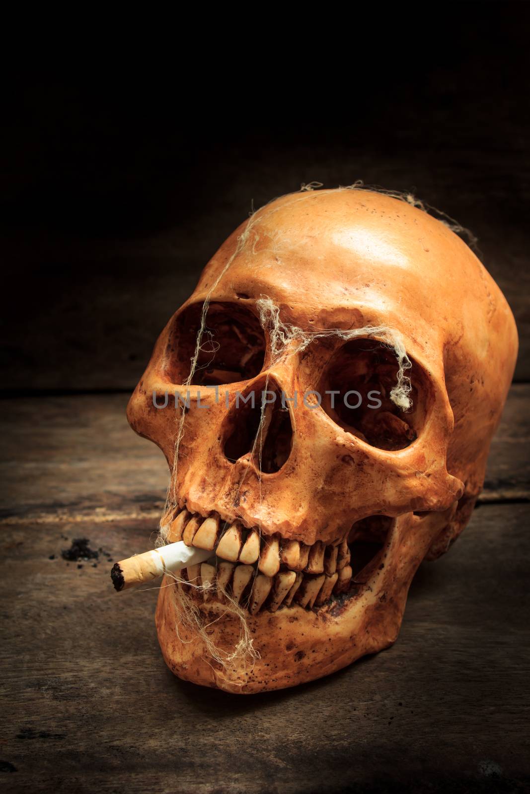 Skull with cigarette, and old wood background.