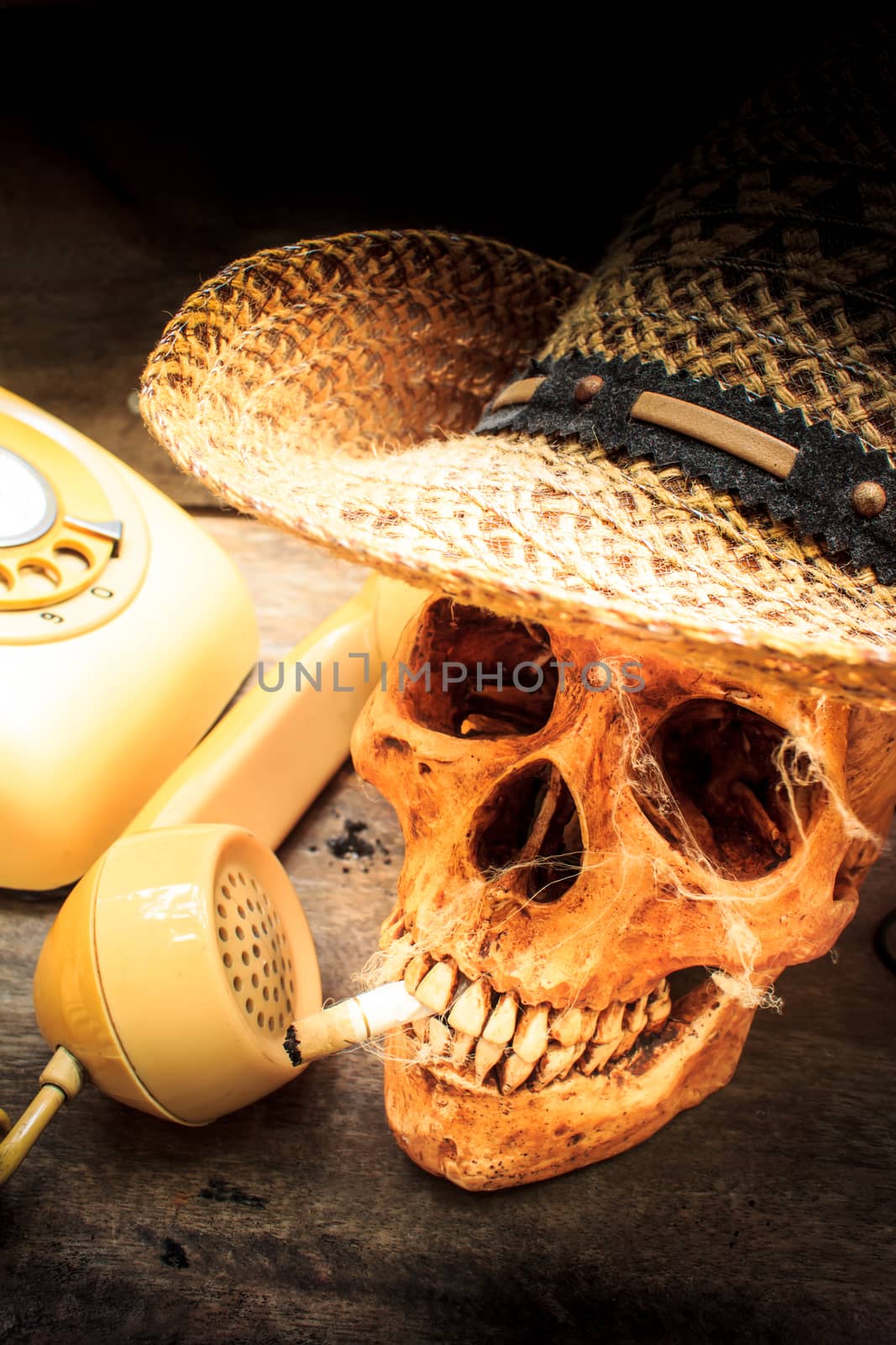 Skull with cigarette, still life. by Tachjang
