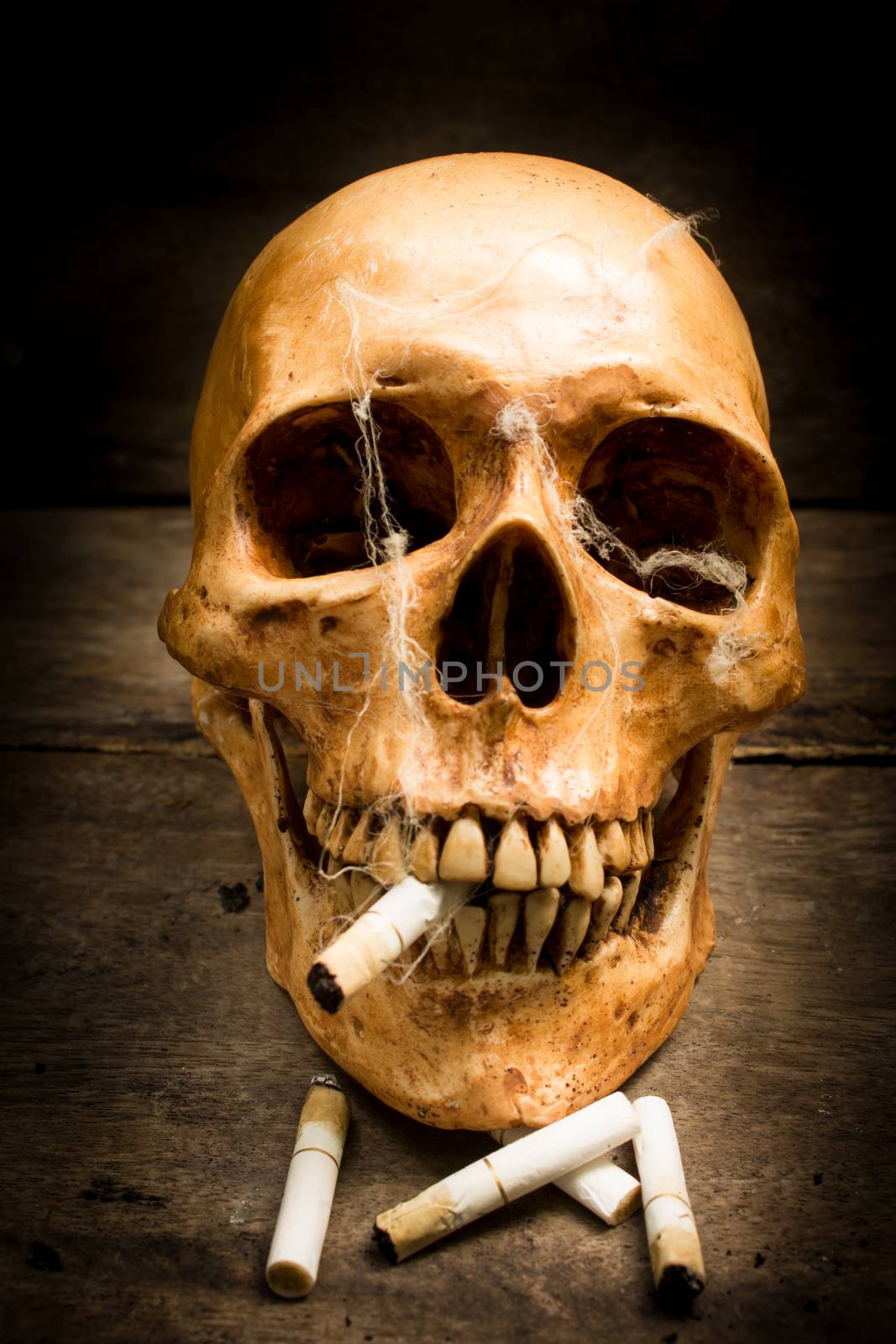 Skull with cigarettes, still life. by Tachjang