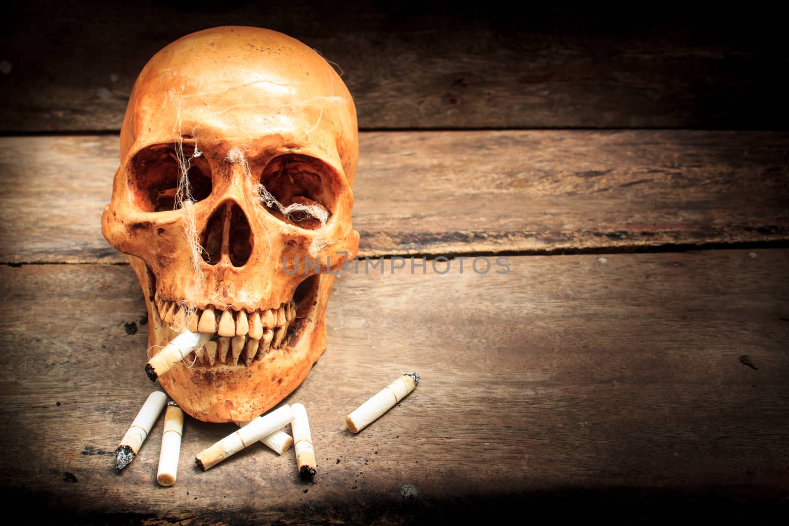 Skull with cigarettes, and old wood background.