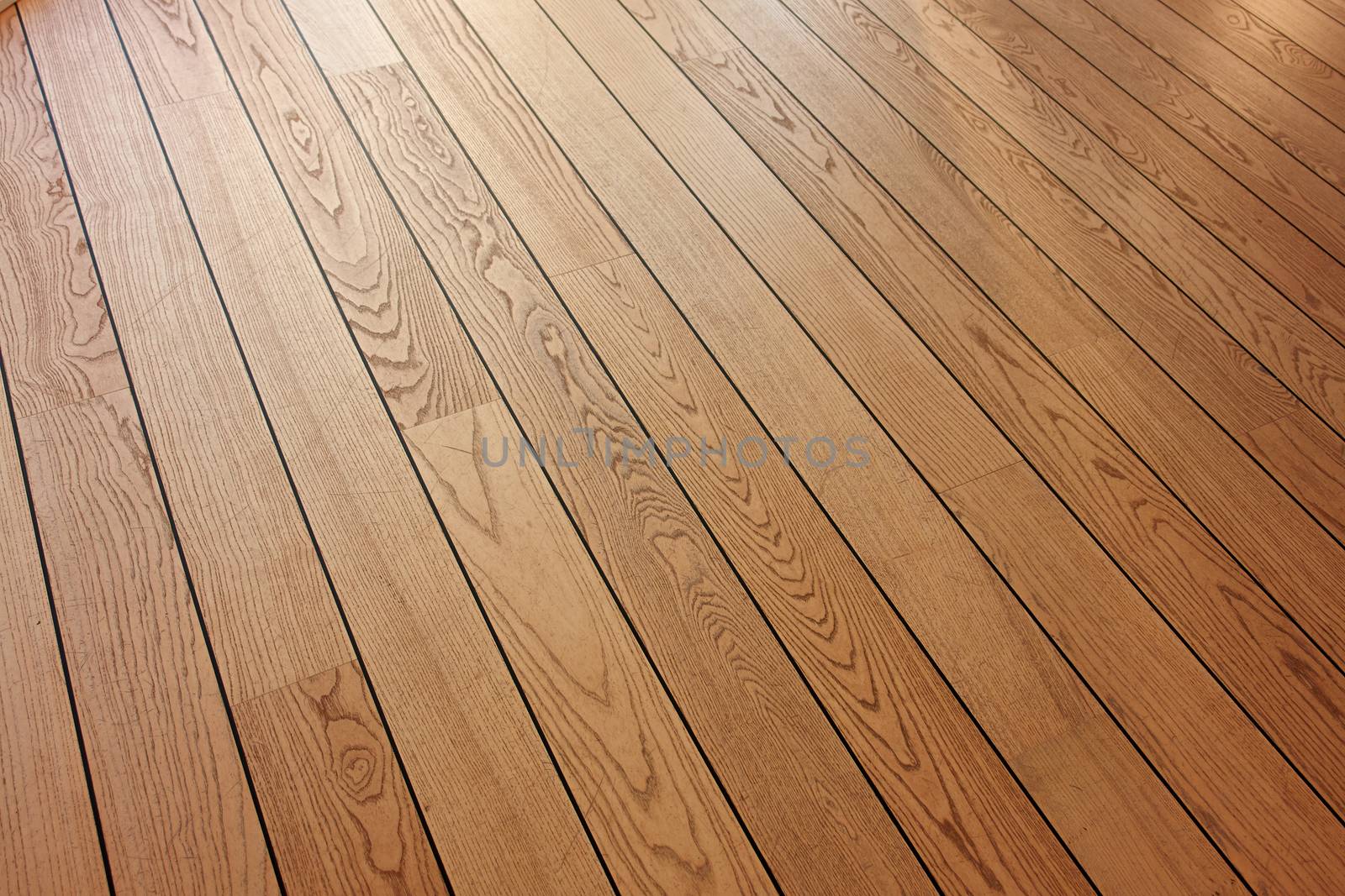 Classical design beautiful wooden parquet in an angle view                               
