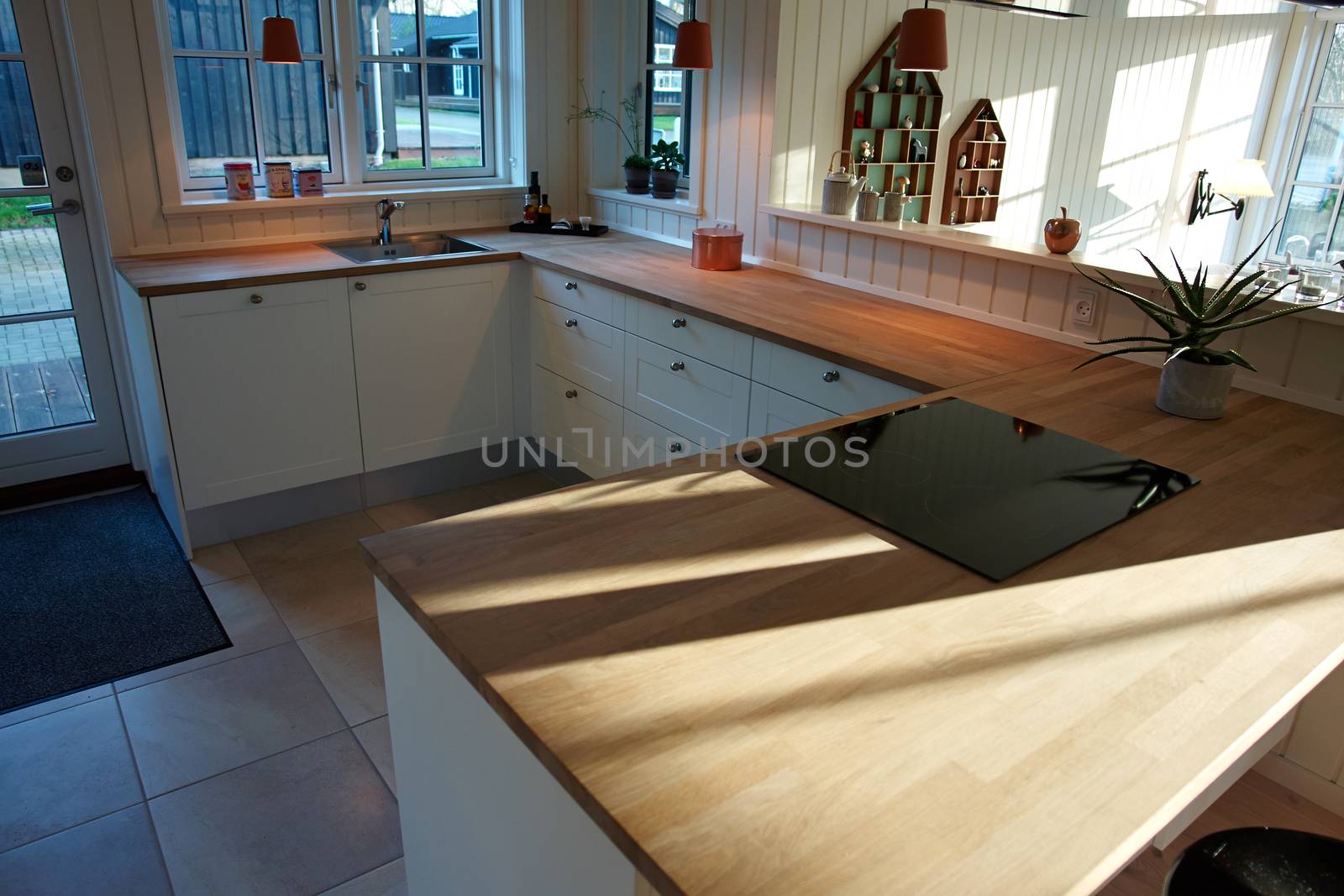 Modern design trendy kitchen with white and wood elements