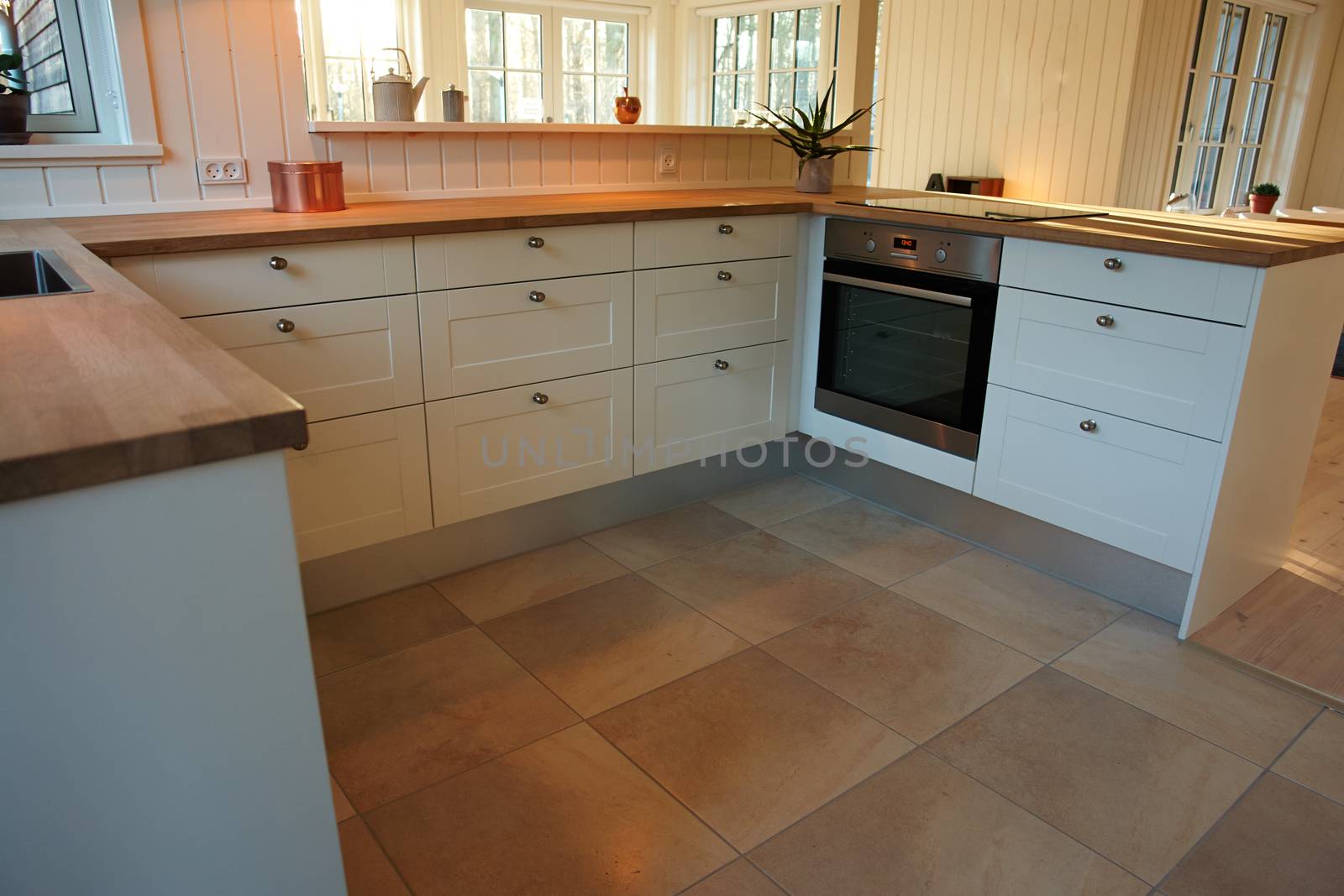 Modern design trendy kitchen with white and wood elements