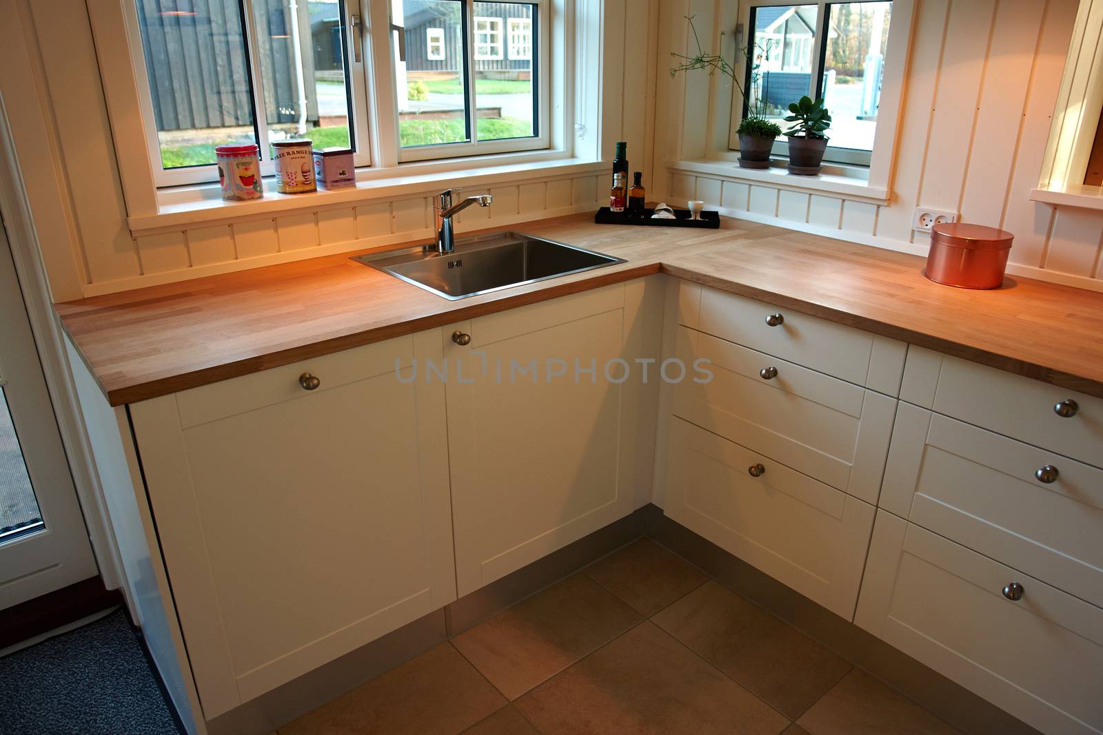 Modern design trendy kitchen with white and wood elements