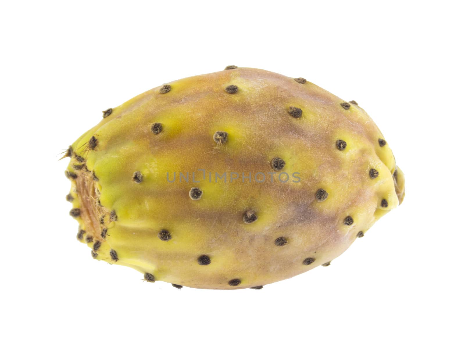 Barbary figs�� cactus pears isolated on white.