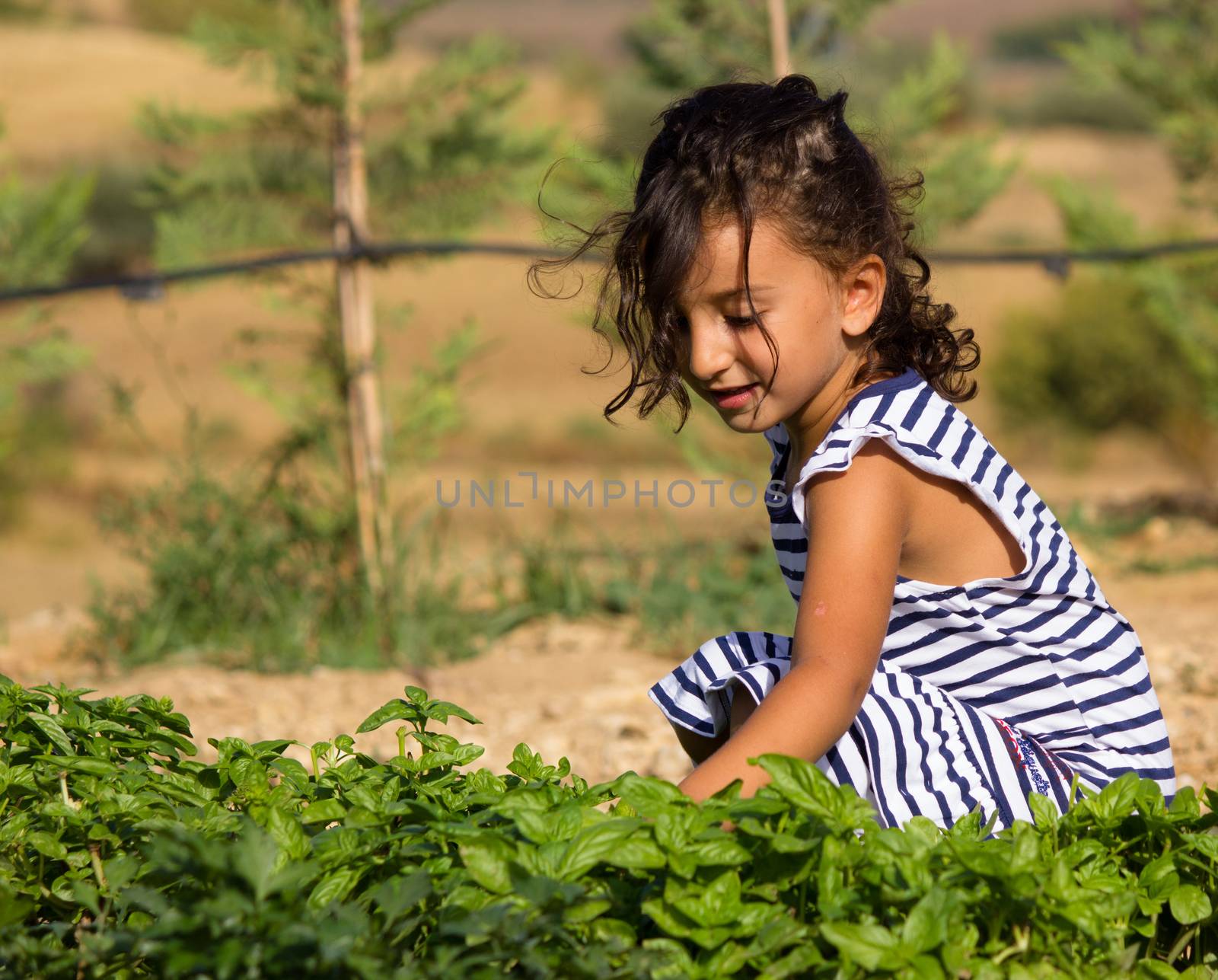 Little girl in garden by goghy73