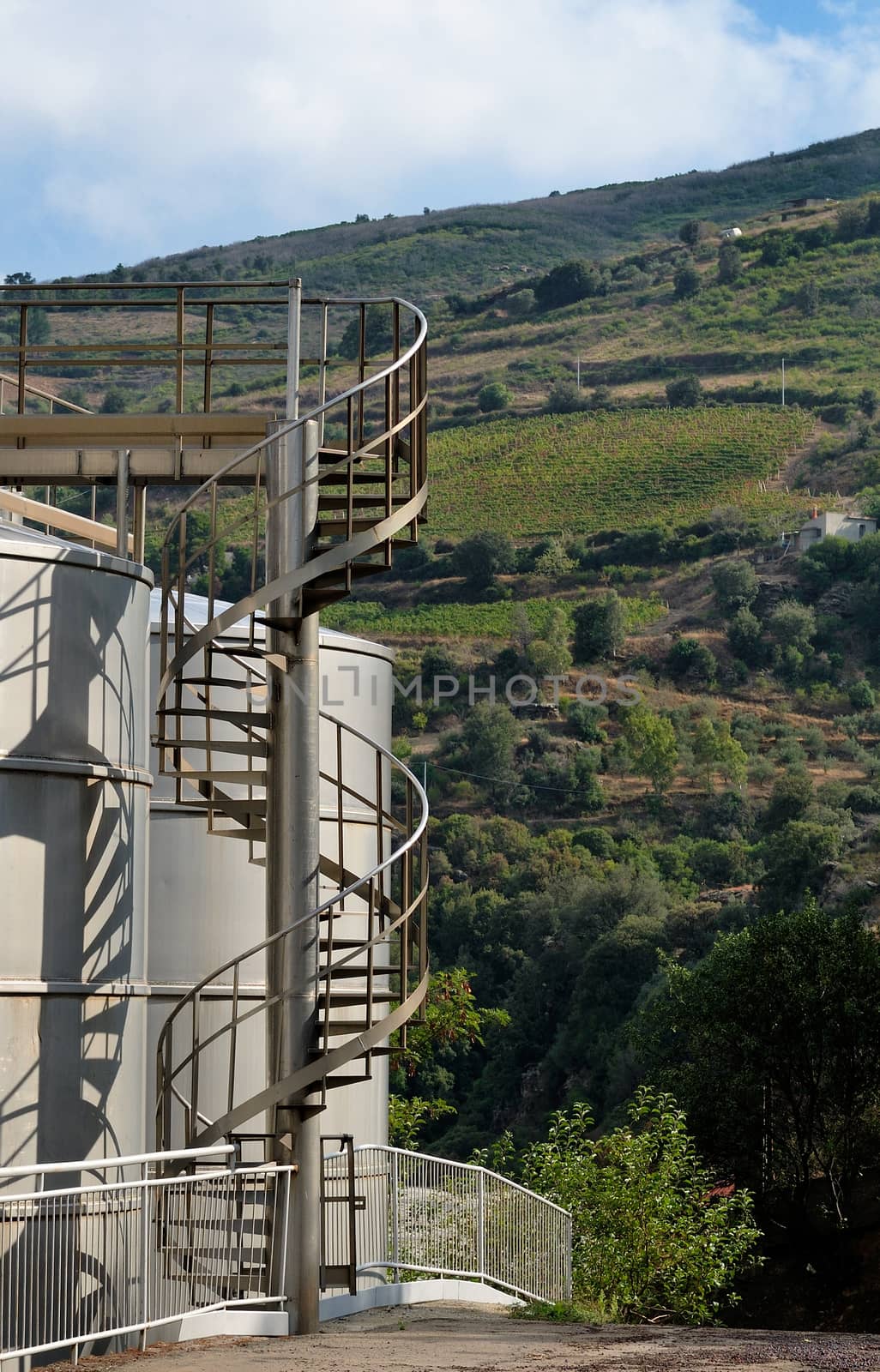 Silos and steel machinery for the processing of the grapes.