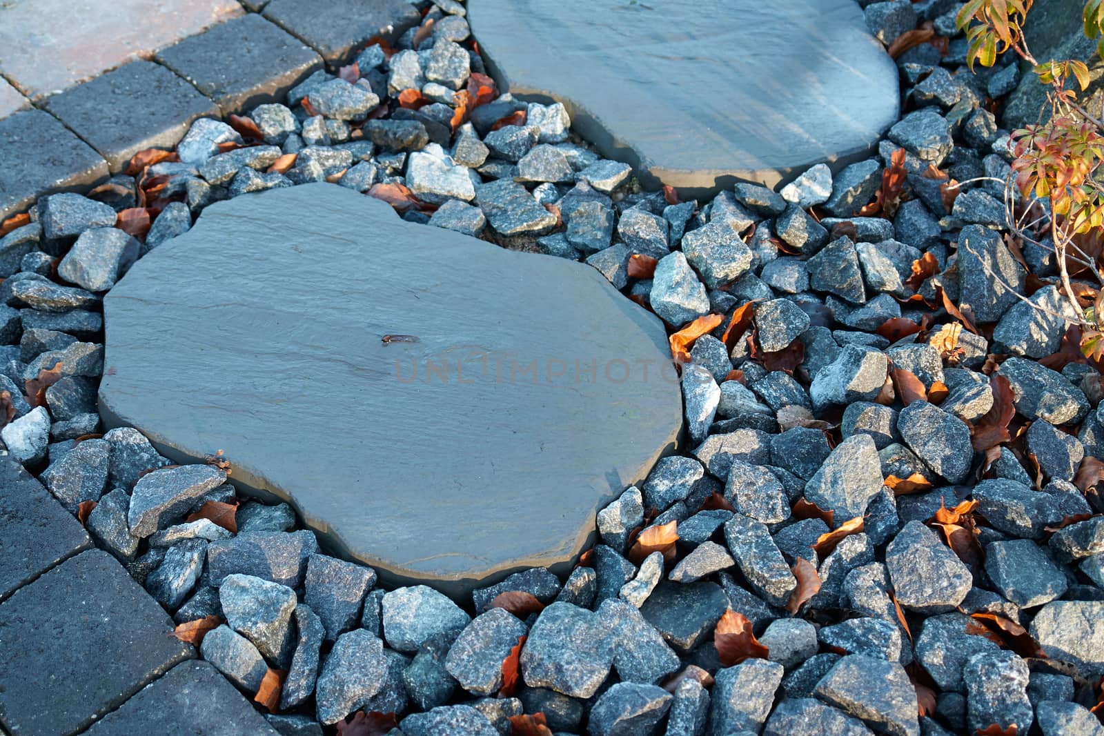 Details of beautiful stone pavement in a garden                               