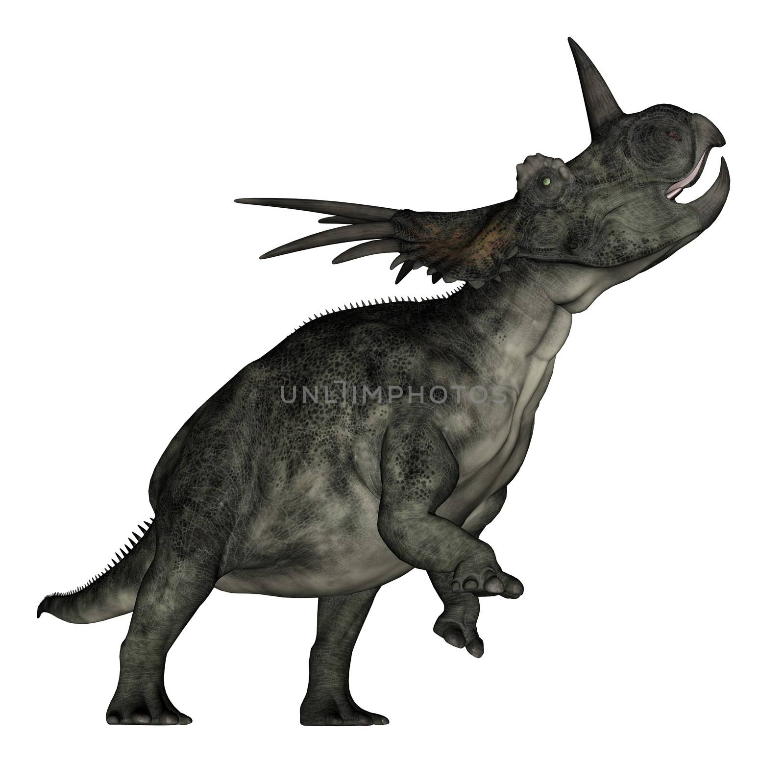 Styracosaurus dinosaur roaring - 3D render by Elenaphotos21