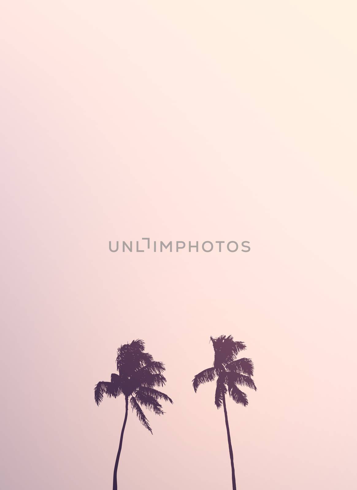 Retro Style Image Of Two Isolated Palm Trees Silhouettes Against A Pale Pink Sky With Copy Space