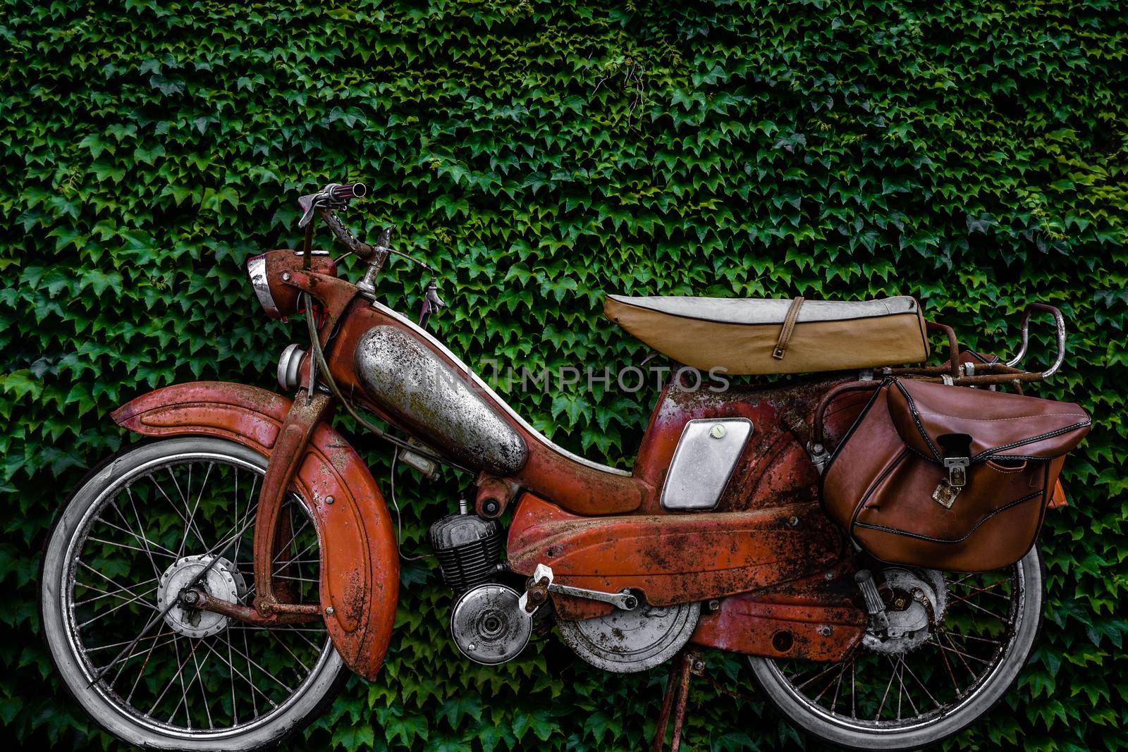 Vintage 60s French Moped Or Scooter With Pannier Bag And Flat Tyre Or Scooter Against An Ivy Background