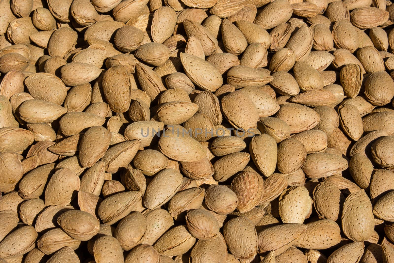 Almonds to the fruit market