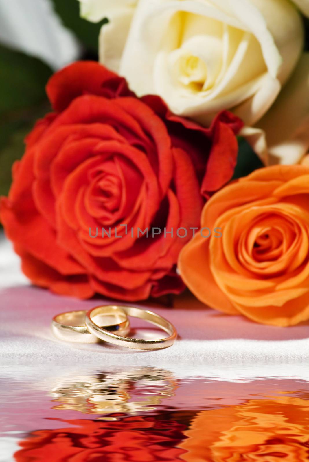 On a photo a roses and wedding rings

