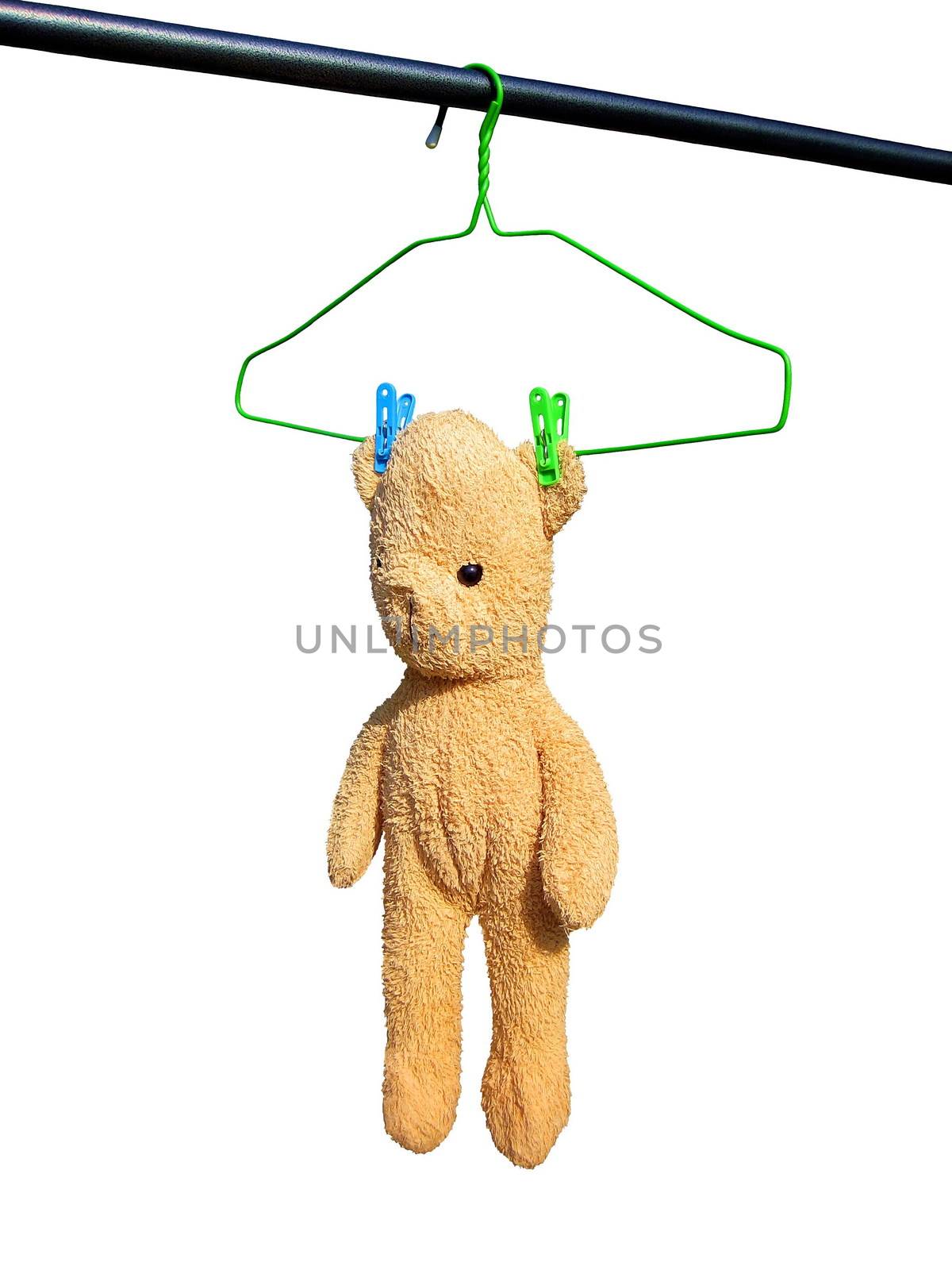 A teddy bear hang on clothes line.