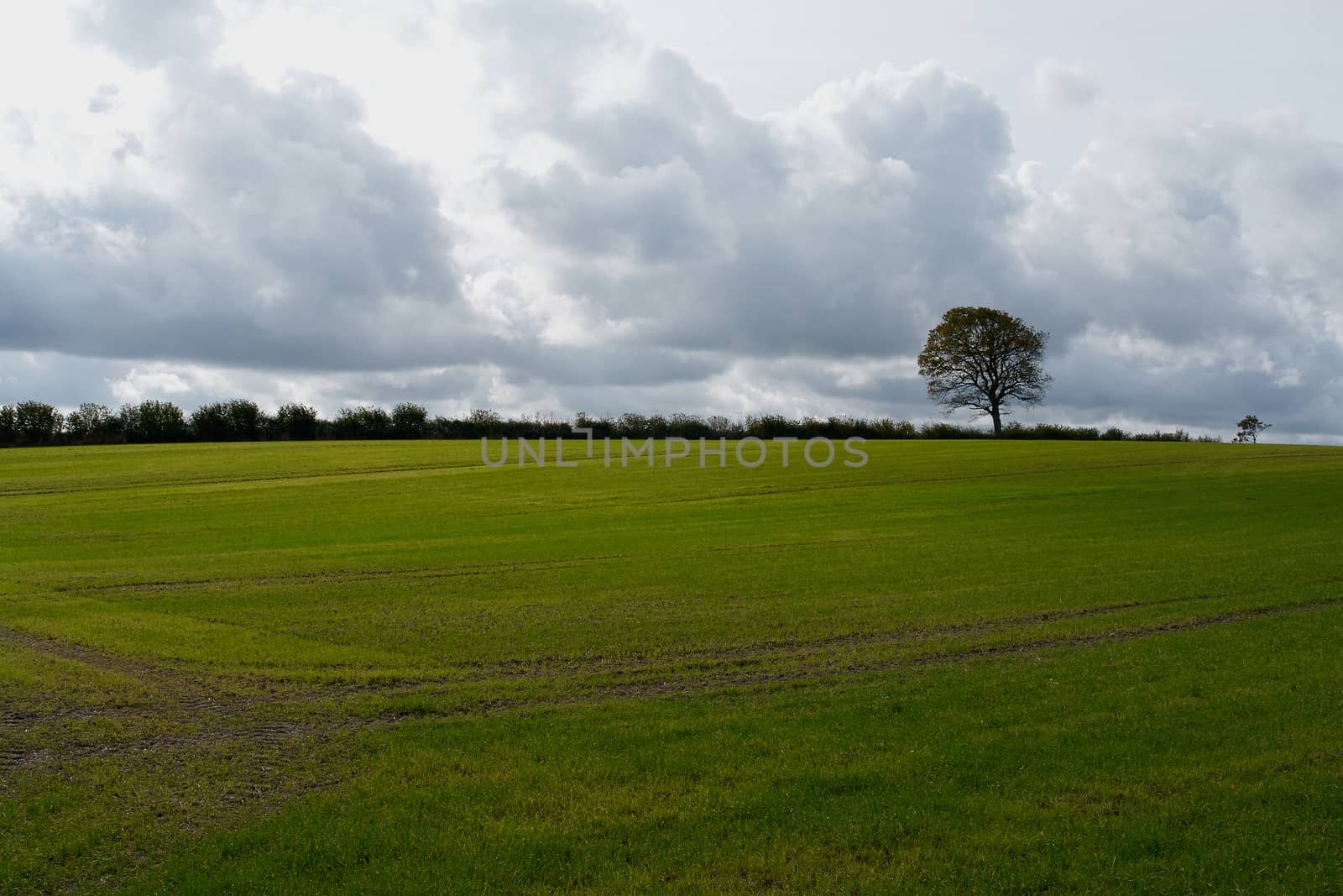 Winter gray heavy storm clouds over a field                                