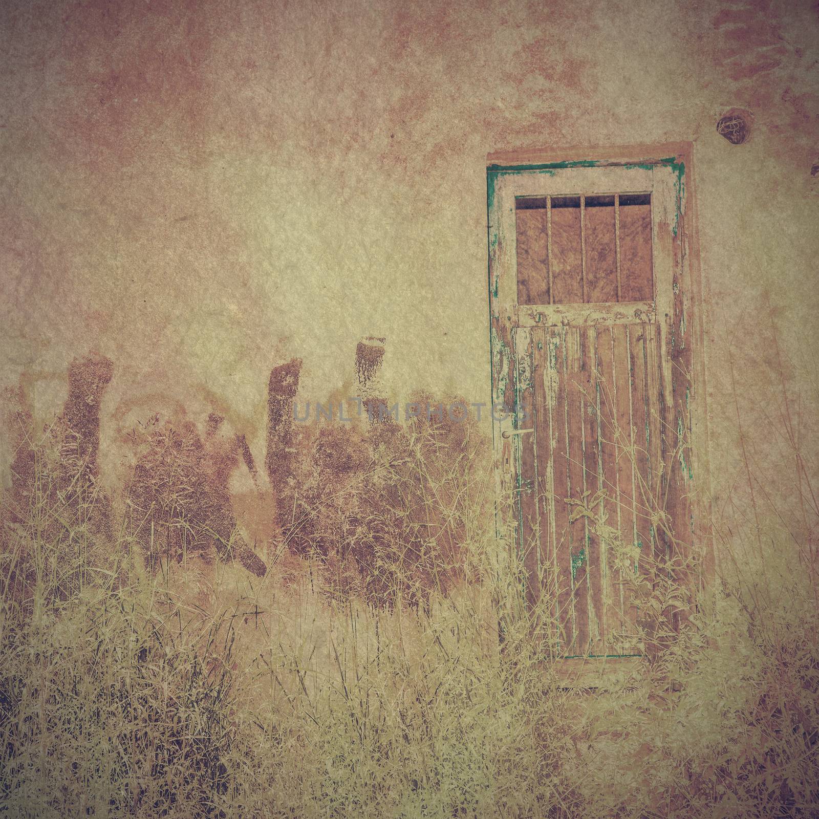 Old door for background by anelina