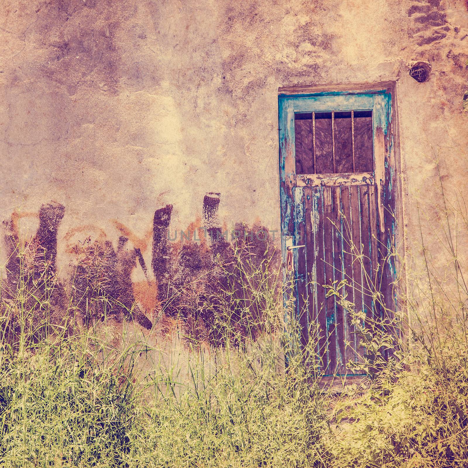 Old door for background by anelina