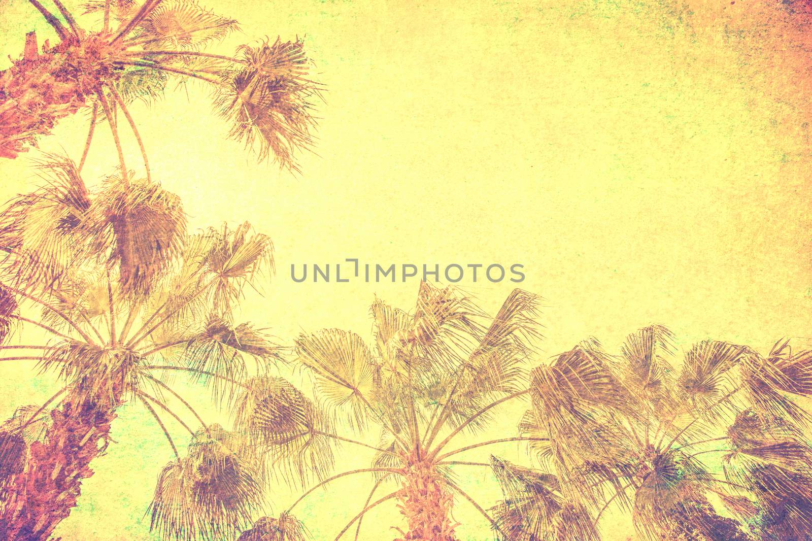 vintage palm background by anelina