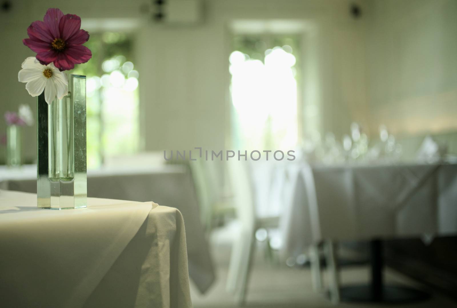 Color artistic digital rectangular horizontal photo of vase with red and white flowers on table in empty reception banquet marriage party room in Barcelona Spain. Shallow depth of with background out of focus.
