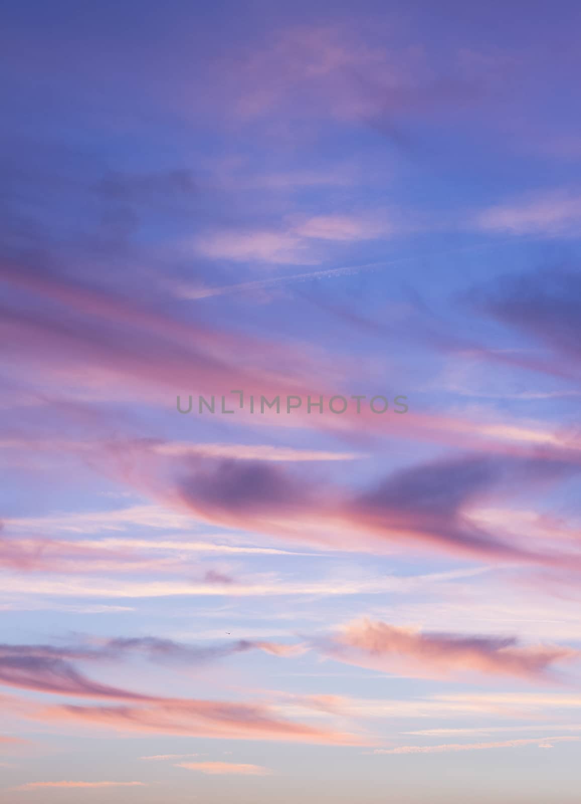 Sky with clouds in blue and pink sunset evening pastel colors vertical rectangular photo. 