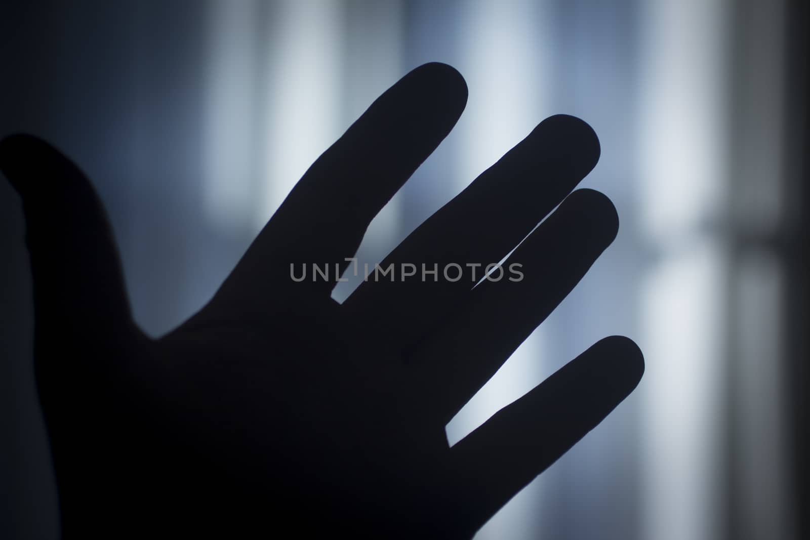 Color digital photo of the open hand of a man in silhouette room with light from window at dusk with net curtains shining through fingers in blue tones with bokeh blur shallow depth of focus defocused background. 
