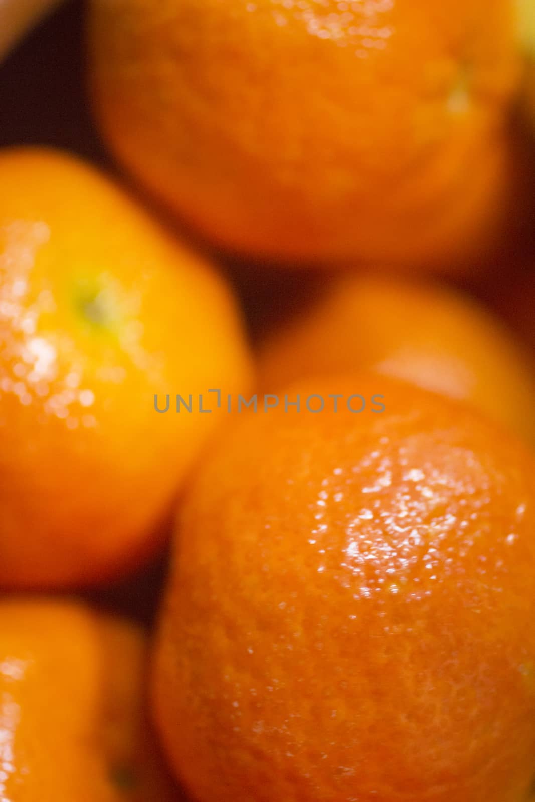 Fresh mandarins tangerine clementines satsuma oranges close-up photo.