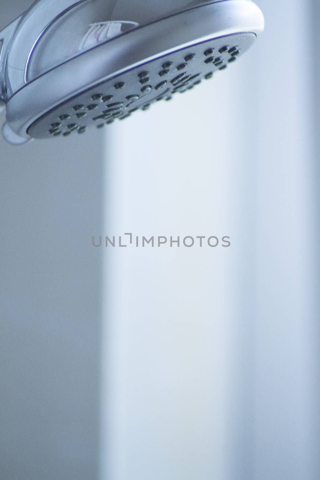Domestic bathroom shower head close-up in blue by edwardolive