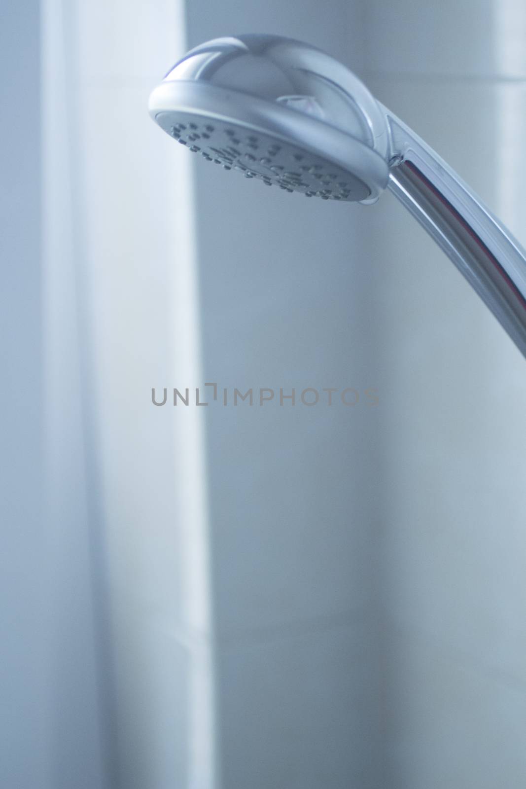 Domestic bathroom shower head and wall tiles close-up photo with shallow depth of focus. 