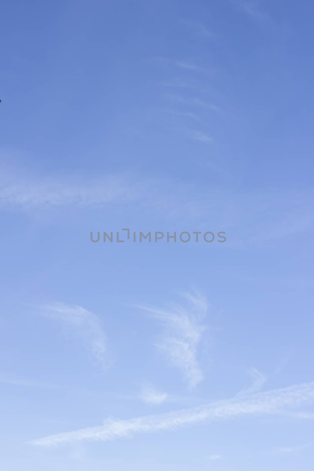 Blue bright summer sky with soft light white clouds on sunny warm day vertical rectangular photo. 