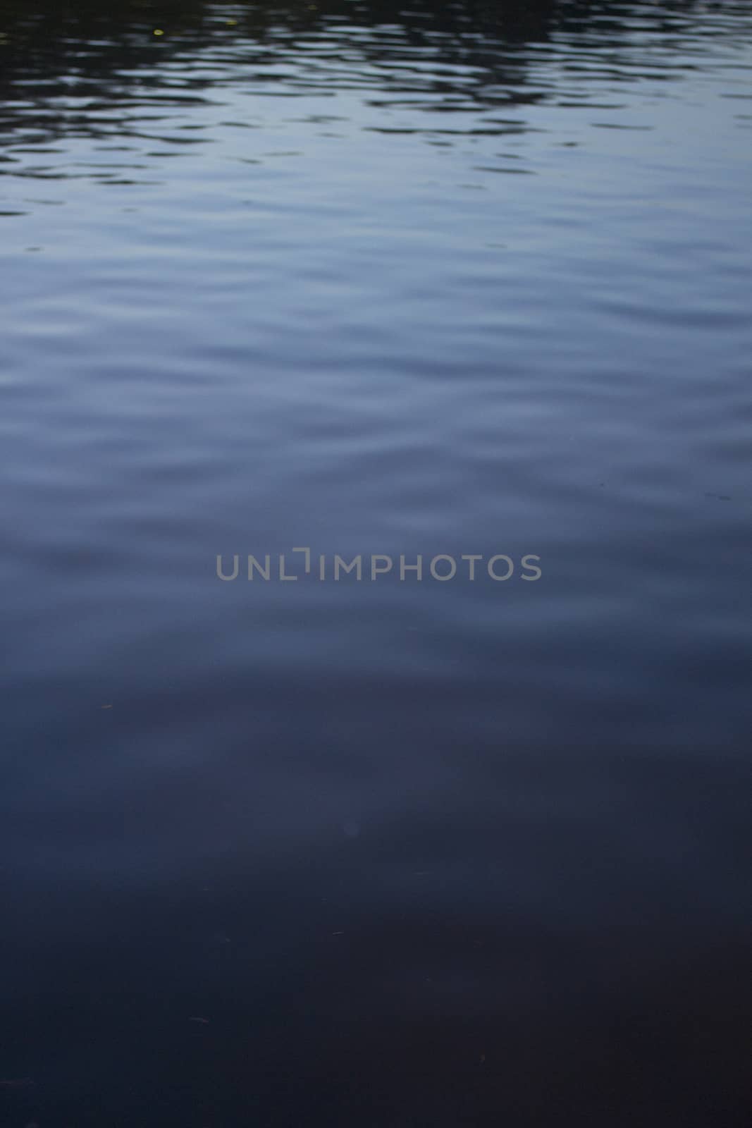 Blue lake water at dusk in soft evening light cold winter Madrid Casa de Campo Spain. 