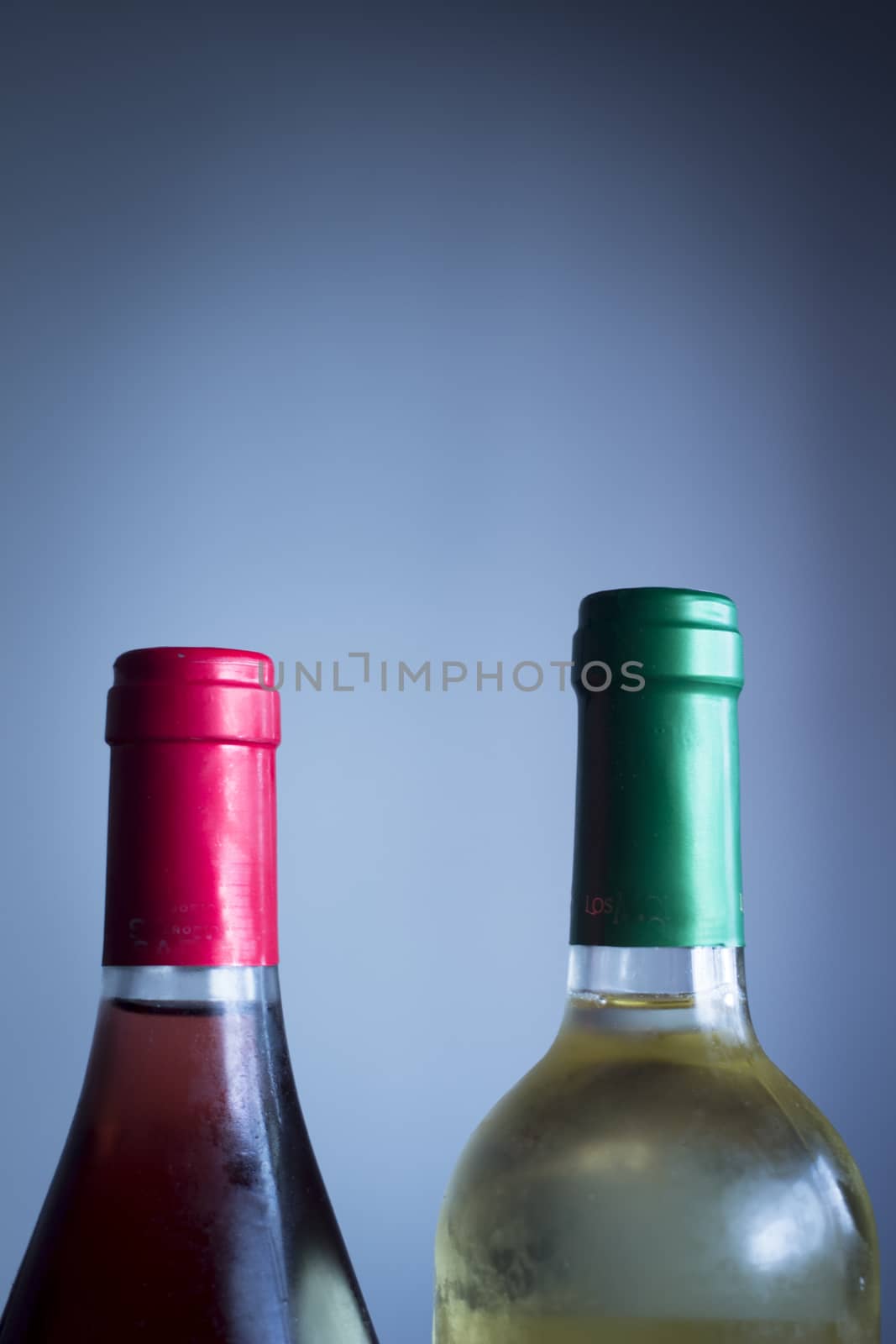 Rioja Spanish rose wine bottle and white wine bottle studio isolated close-up on plain blue background color photo.