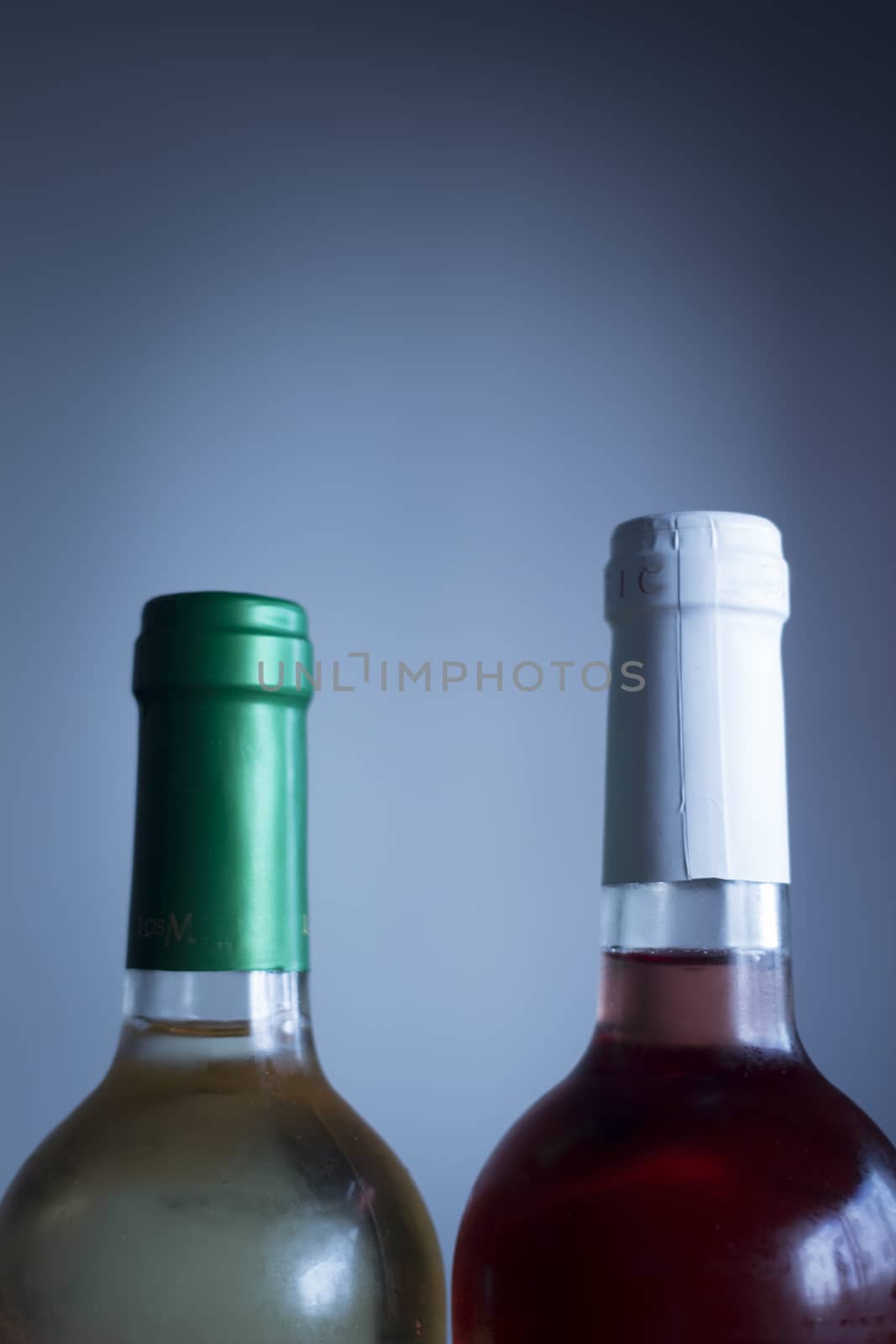 Rioja Spanish rose wine bottle and white wine bottle studio isolated close-up on plain blue background color photo.