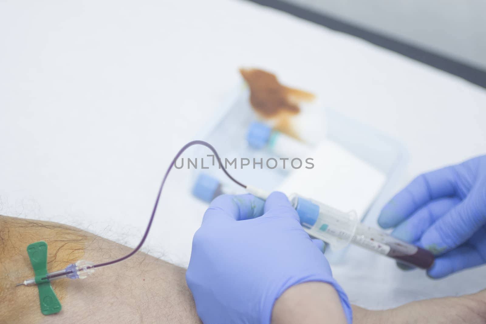 Close-up color photo of a female hospital clinic nurse wearing sterile blue gloves and senior male patient aged 65-70 giving a blood donation sample from the interior of his elbow resting arm on sterile blue white defocused background.