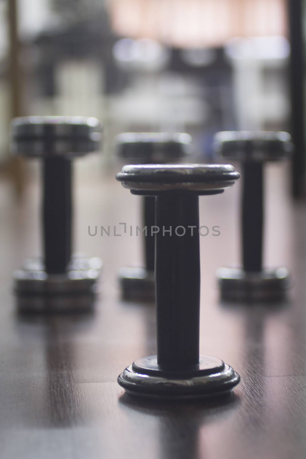 Dumbbell gym metal weights in gym health club by edwardolive